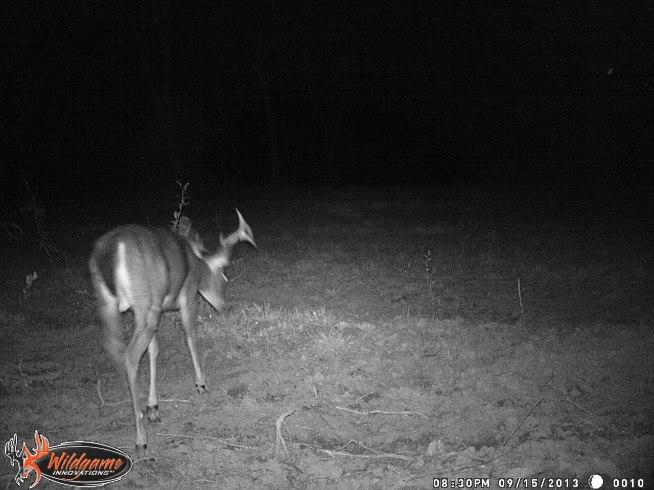 Image for 2 BR/1 BA Log Cabin on 30 +/- Acres Bordering National Forest in Bath County, VA