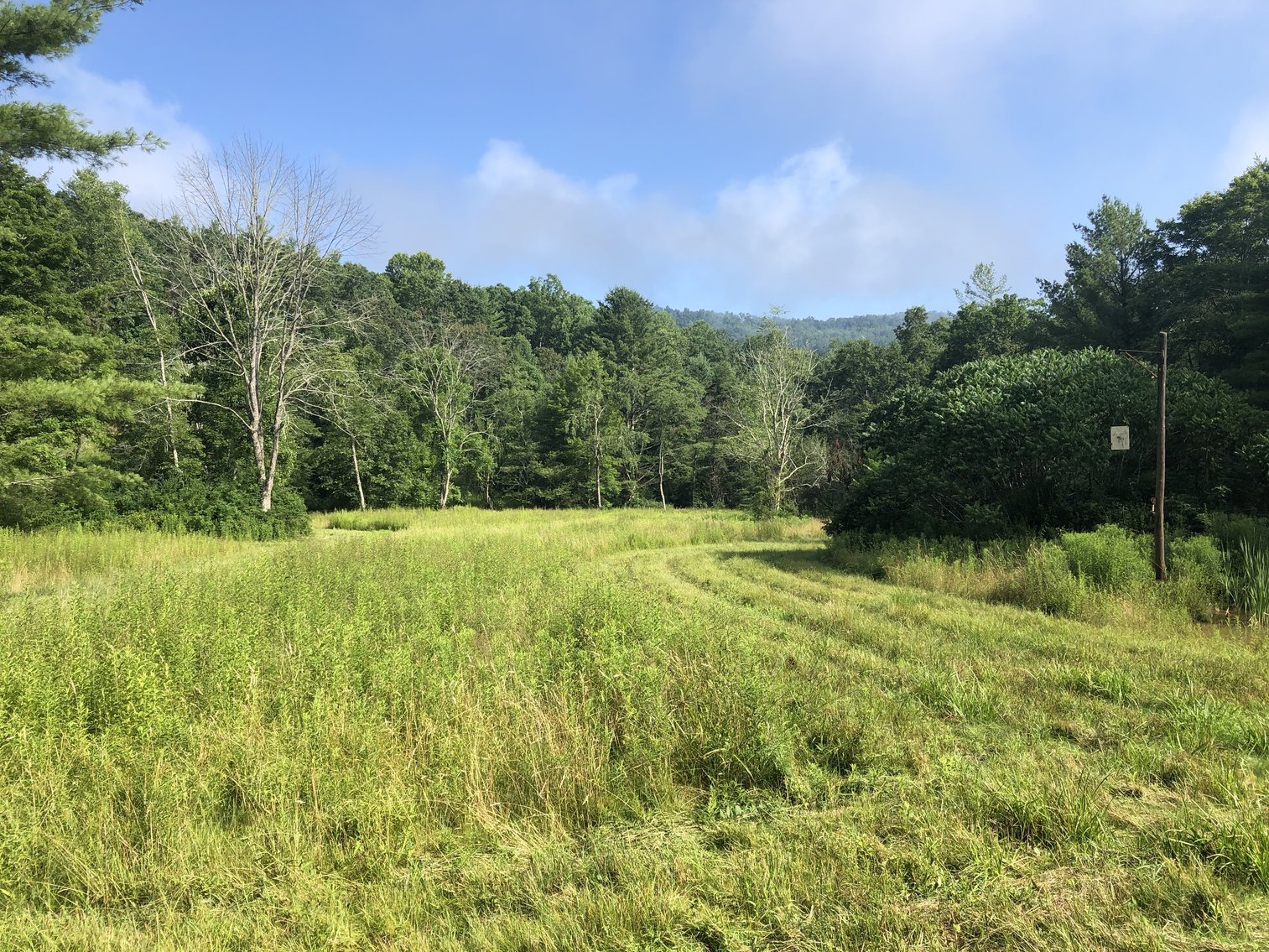 Image for 2 BR/1 BA Log Cabin on 30 +/- Acres Bordering National Forest in Bath County, VA