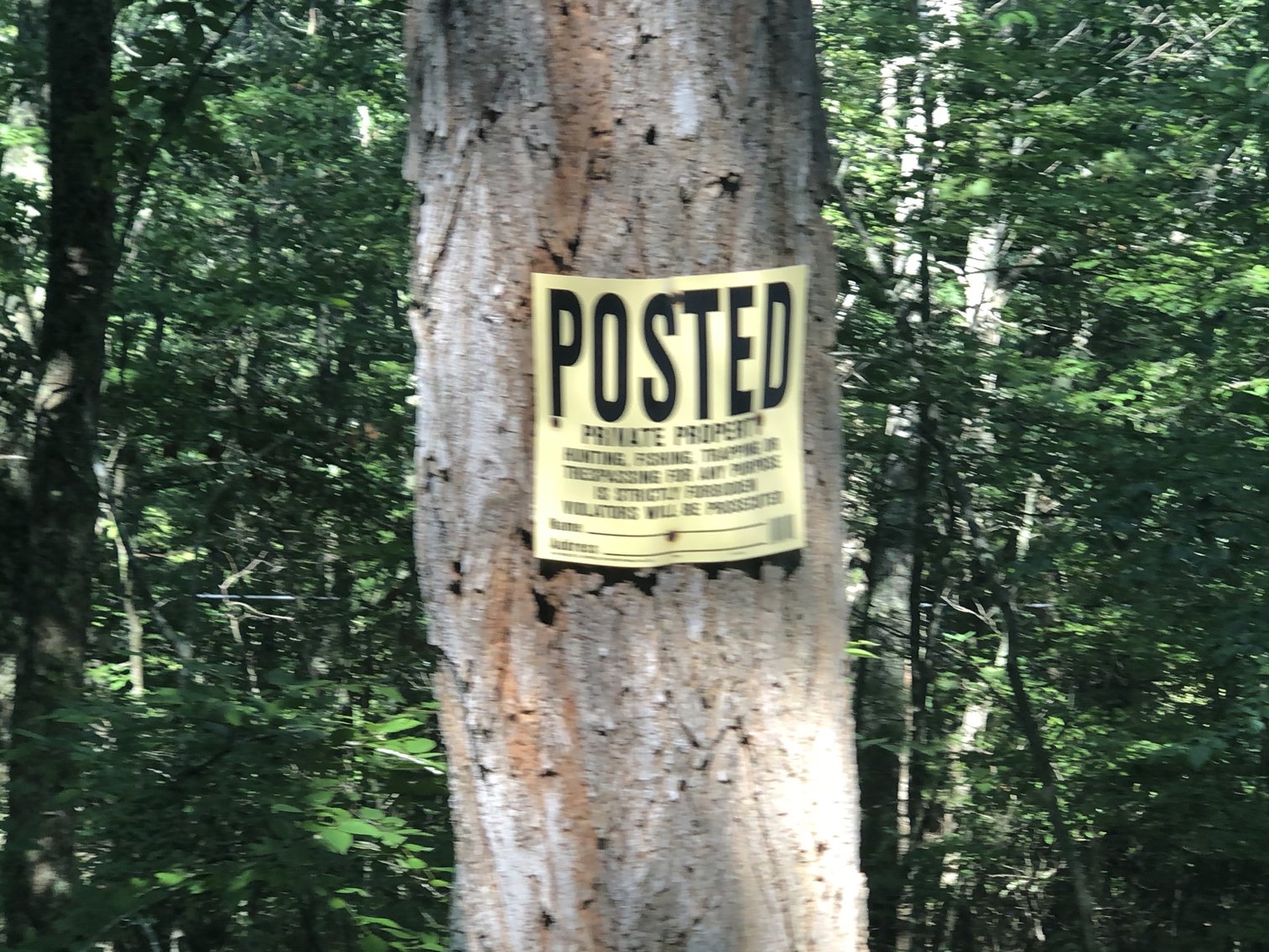 Image for 2 BR/1 BA Log Cabin on 30 +/- Acres Bordering National Forest in Bath County, VA