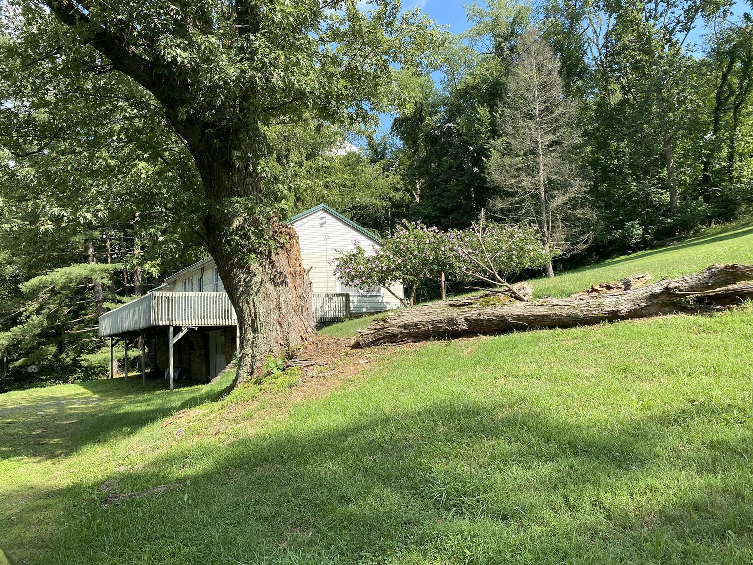 Image for SOLD $225,500 - 2.69 Acres on Canyon Road Sold to the Highest Bidder