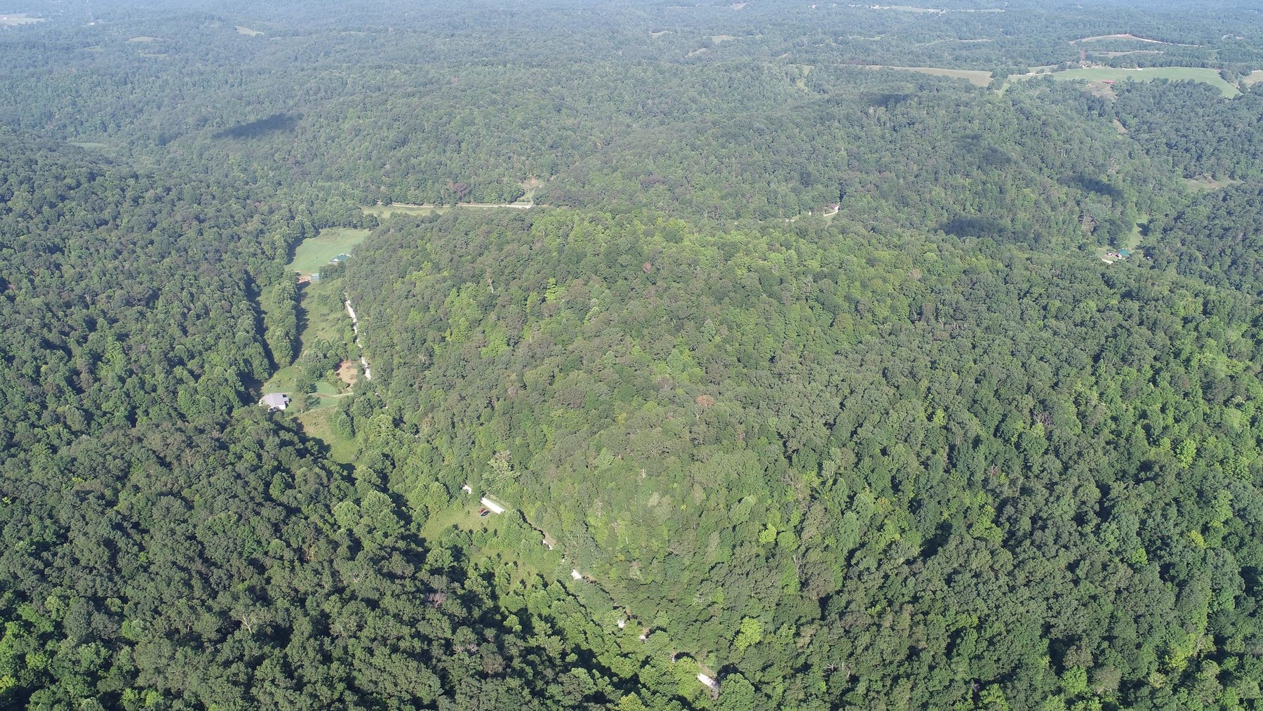 Image for SOLD - $121,000 155 Acres Sold to the Highest Bidder