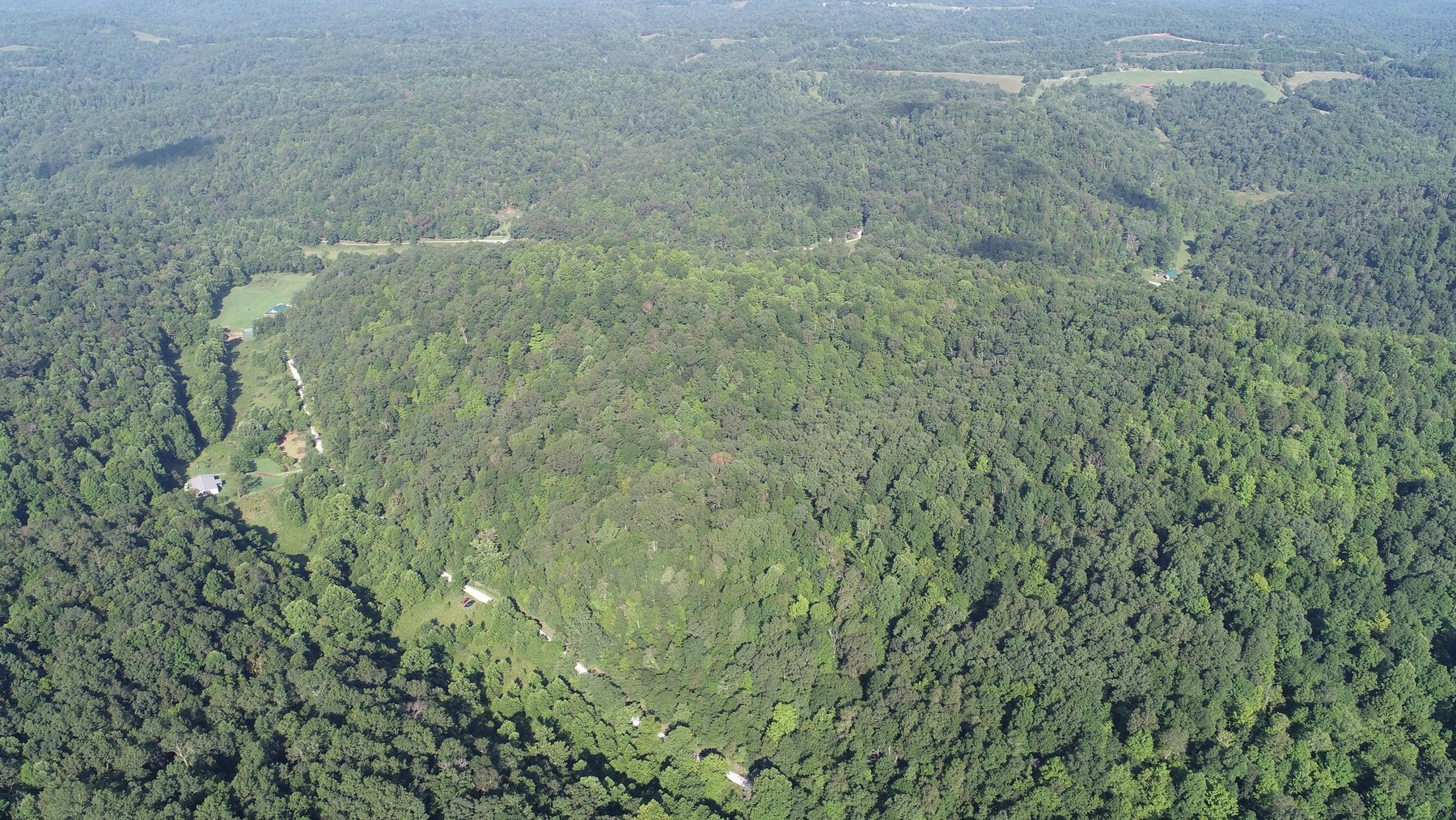 Image for SOLD - $121,000 155 Acres Sold to the Highest Bidder