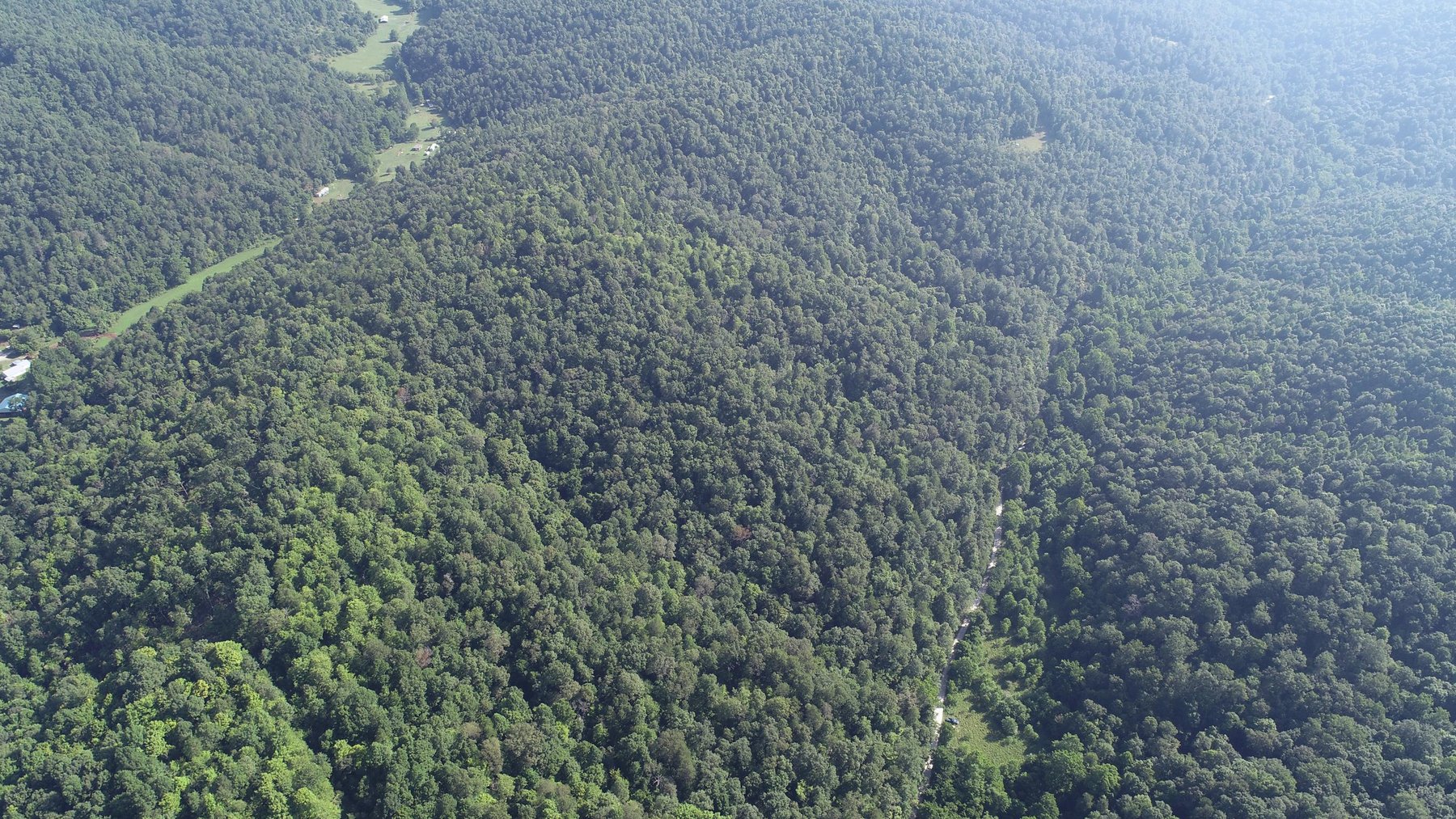 Image for SOLD - $121,000 155 Acres Sold to the Highest Bidder