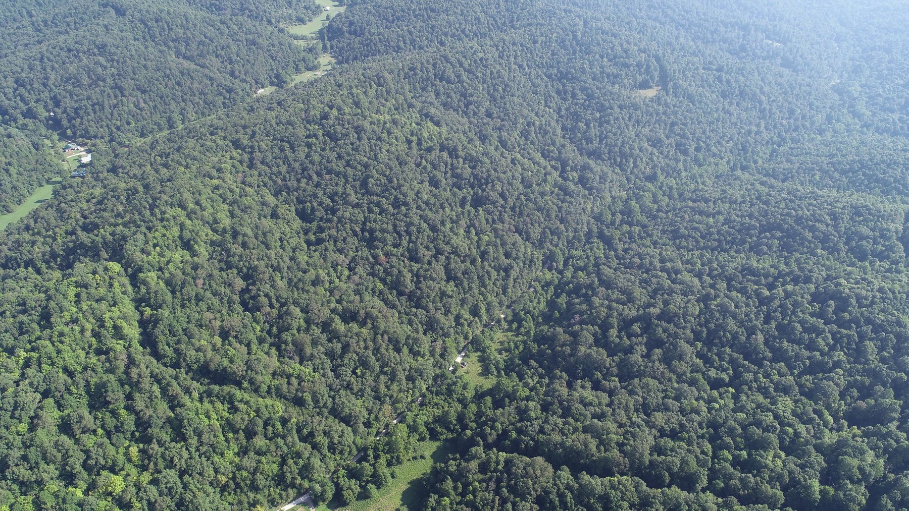 Image for SOLD - $121,000 155 Acres Sold to the Highest Bidder