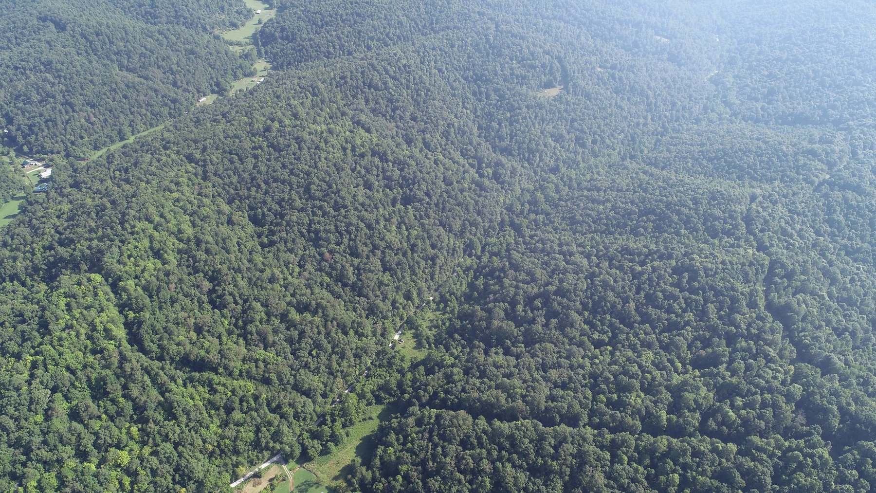 Image for SOLD - $121,000 155 Acres Sold to the Highest Bidder