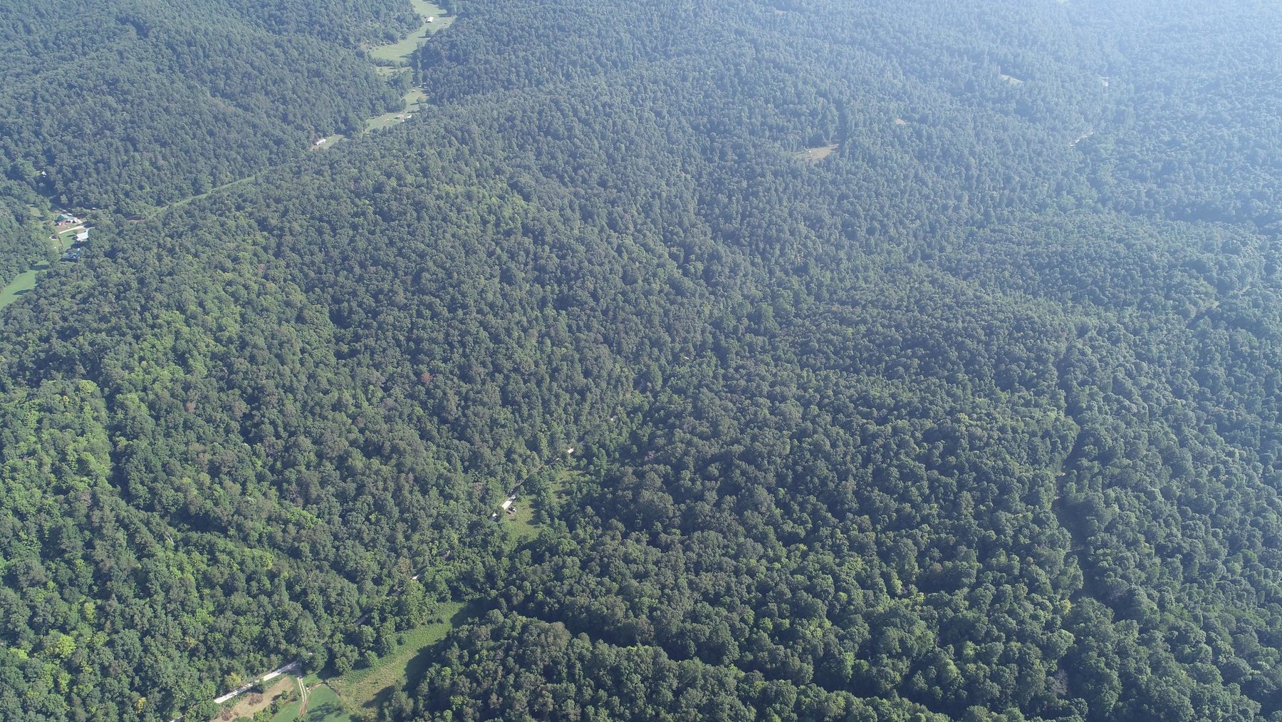 Image for SOLD - $121,000 155 Acres Sold to the Highest Bidder