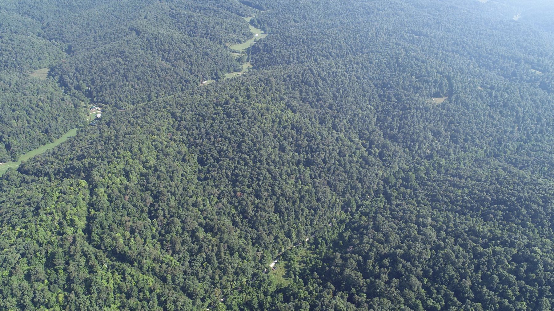 Image for SOLD - $121,000 155 Acres Sold to the Highest Bidder