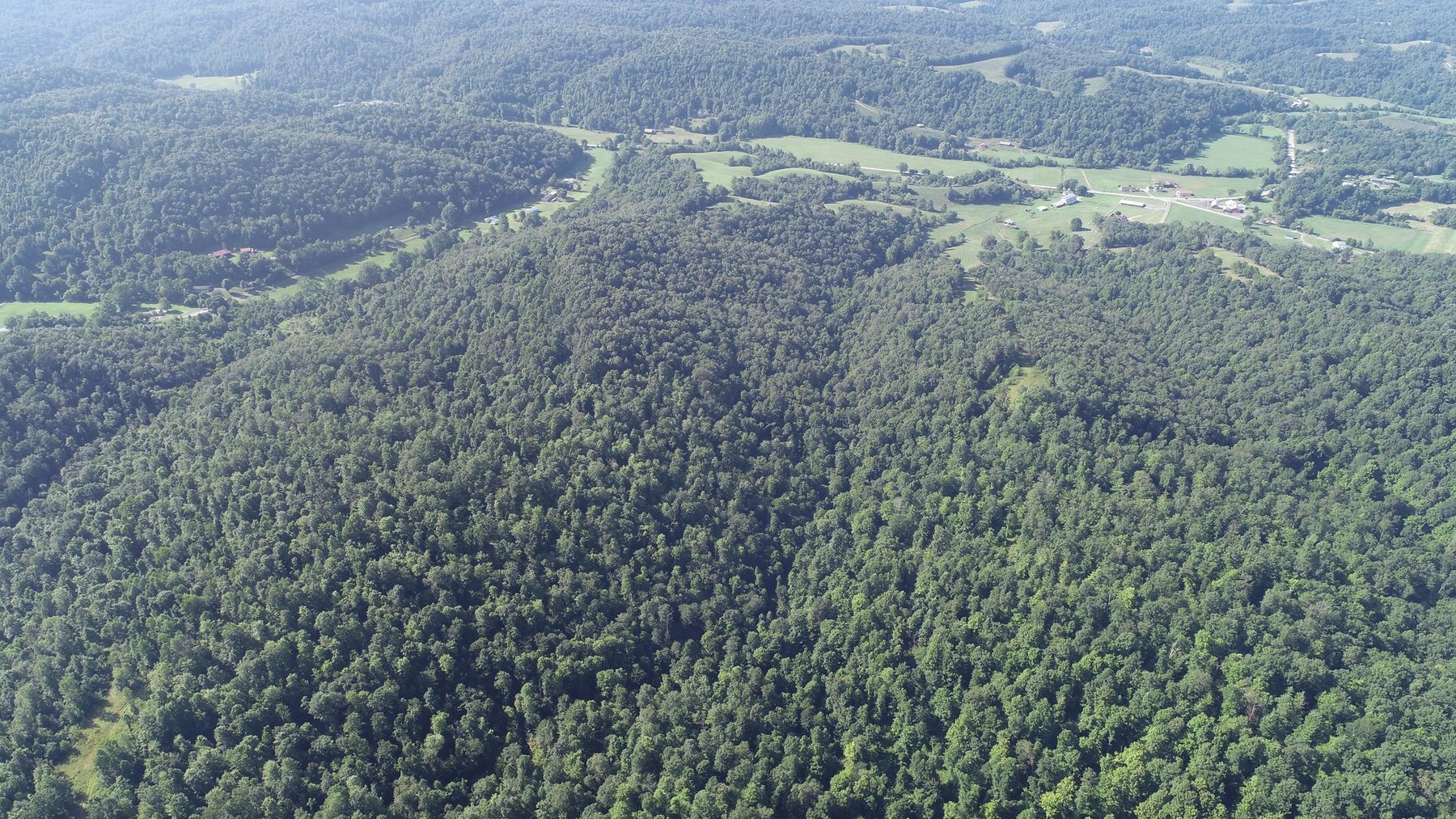 Image for SOLD - $121,000 155 Acres Sold to the Highest Bidder