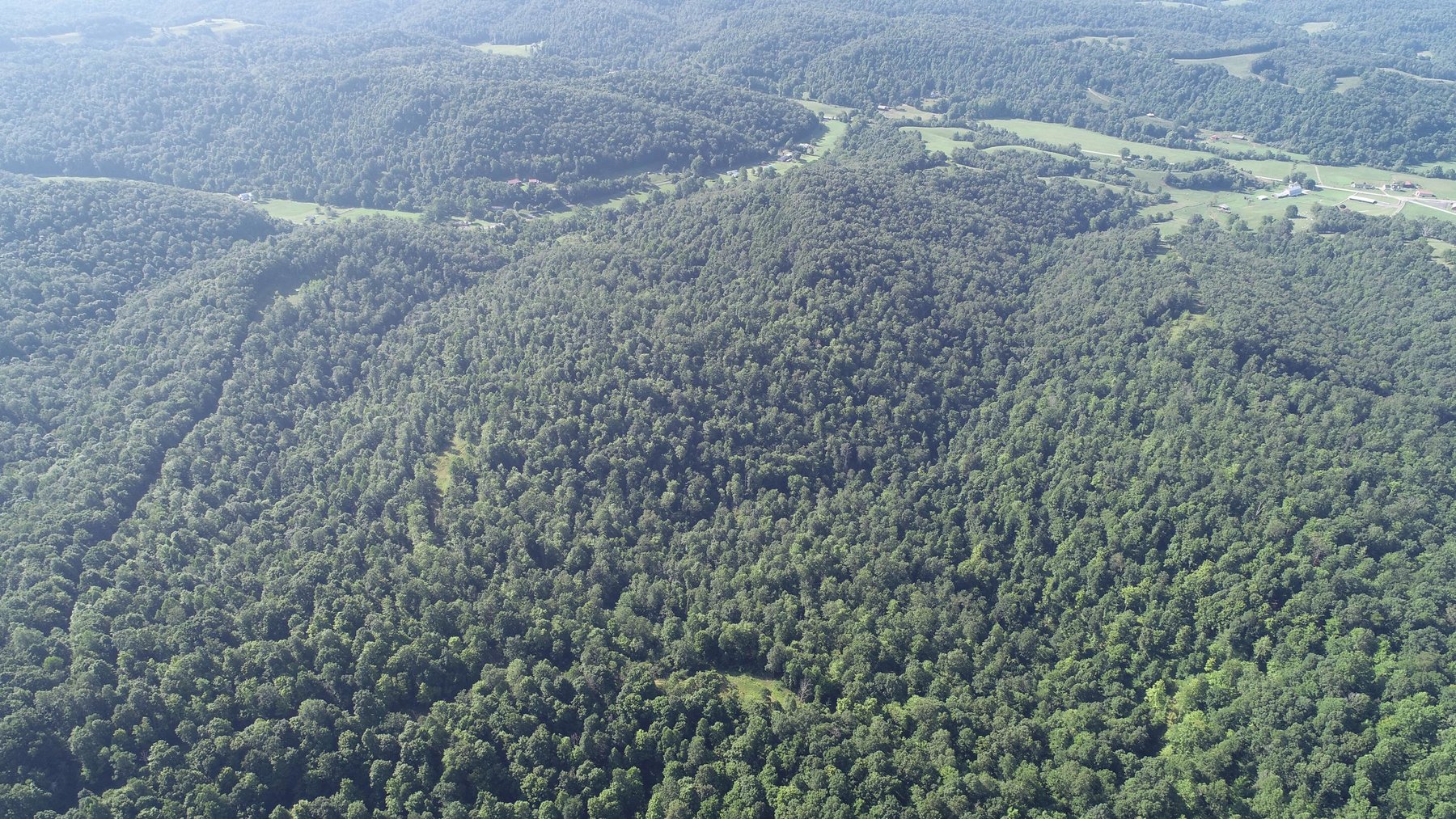 Image for SOLD - $121,000 155 Acres Sold to the Highest Bidder