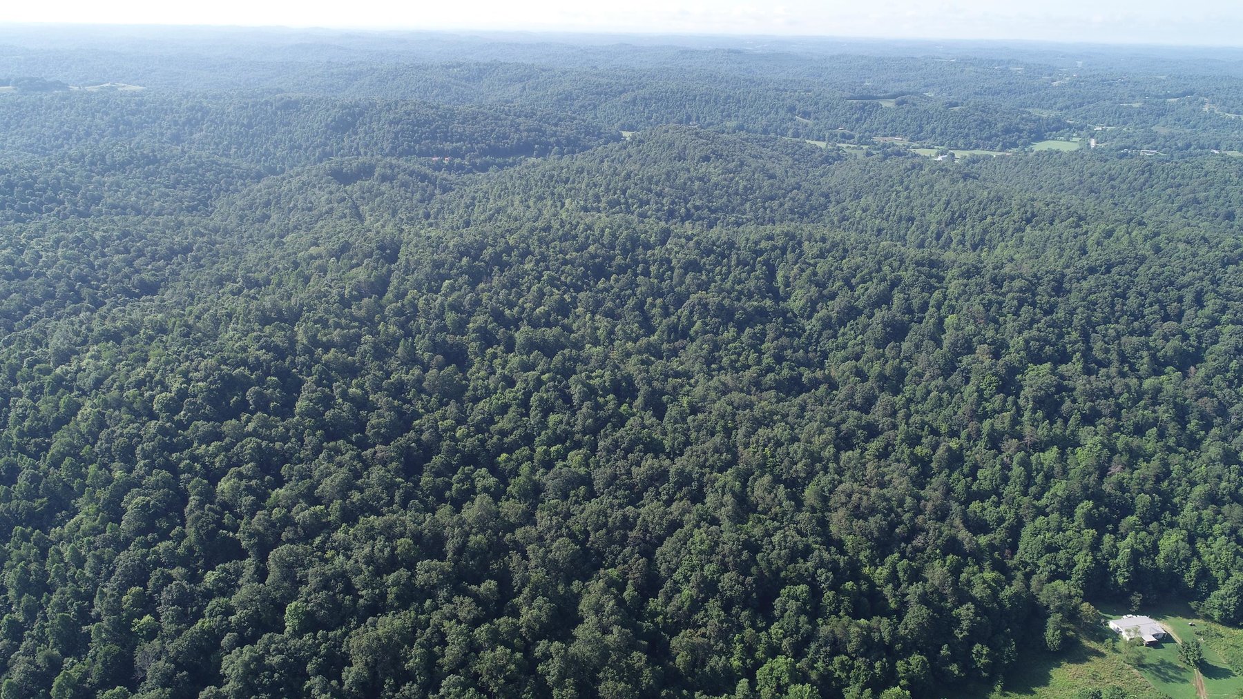 Image for SOLD - $121,000 155 Acres Sold to the Highest Bidder