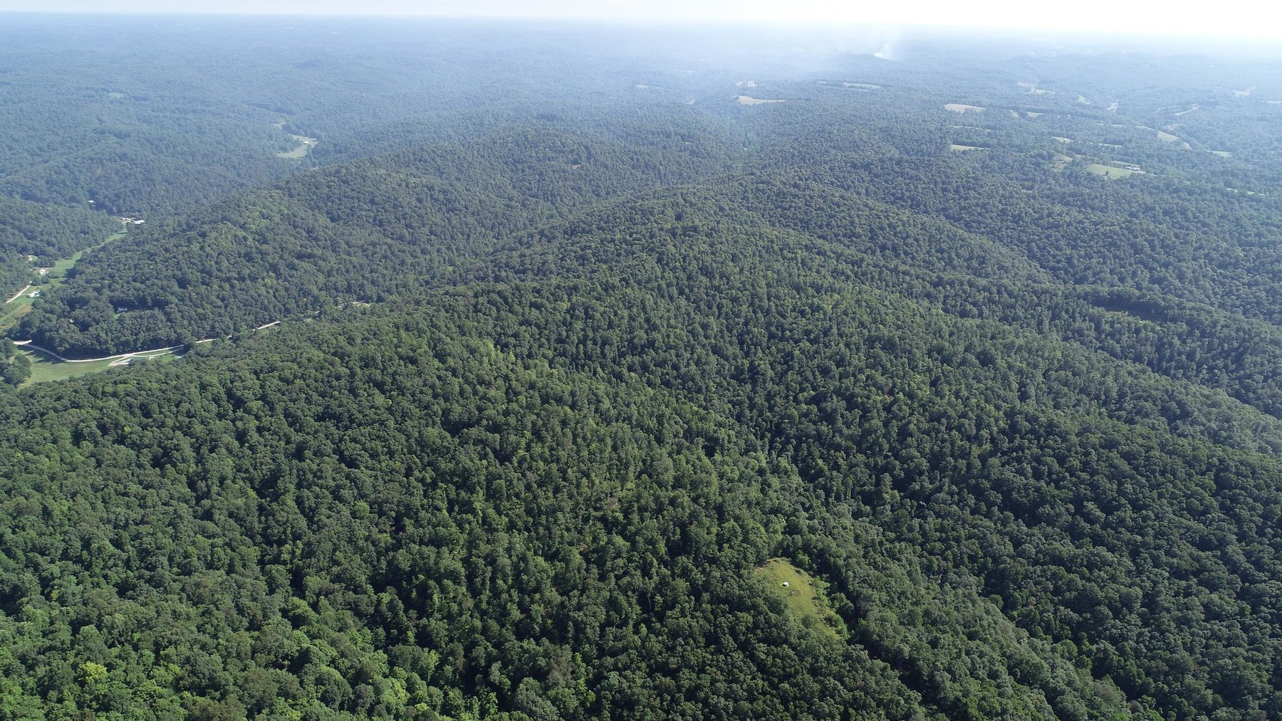 Image for SOLD - $121,000 155 Acres Sold to the Highest Bidder