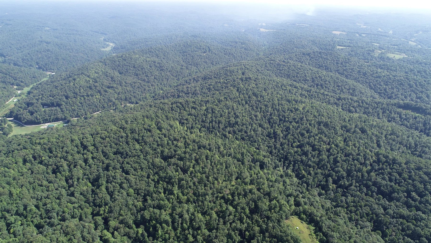 Image for SOLD - $121,000 155 Acres Sold to the Highest Bidder