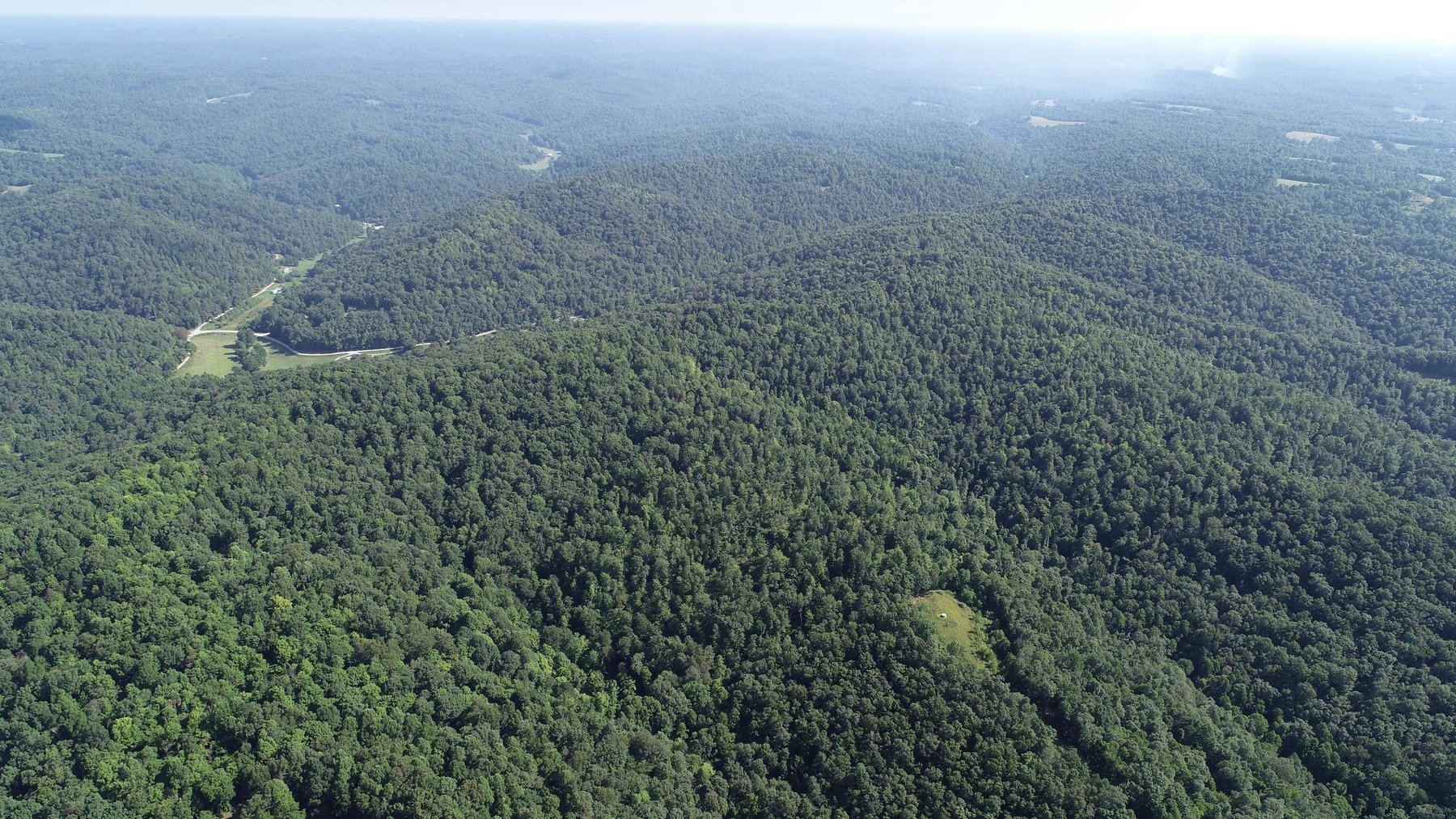 Image for SOLD - $121,000 155 Acres Sold to the Highest Bidder