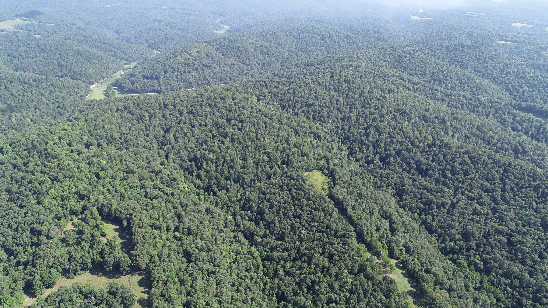 Image for SOLD - $121,000 155 Acres Sold to the Highest Bidder