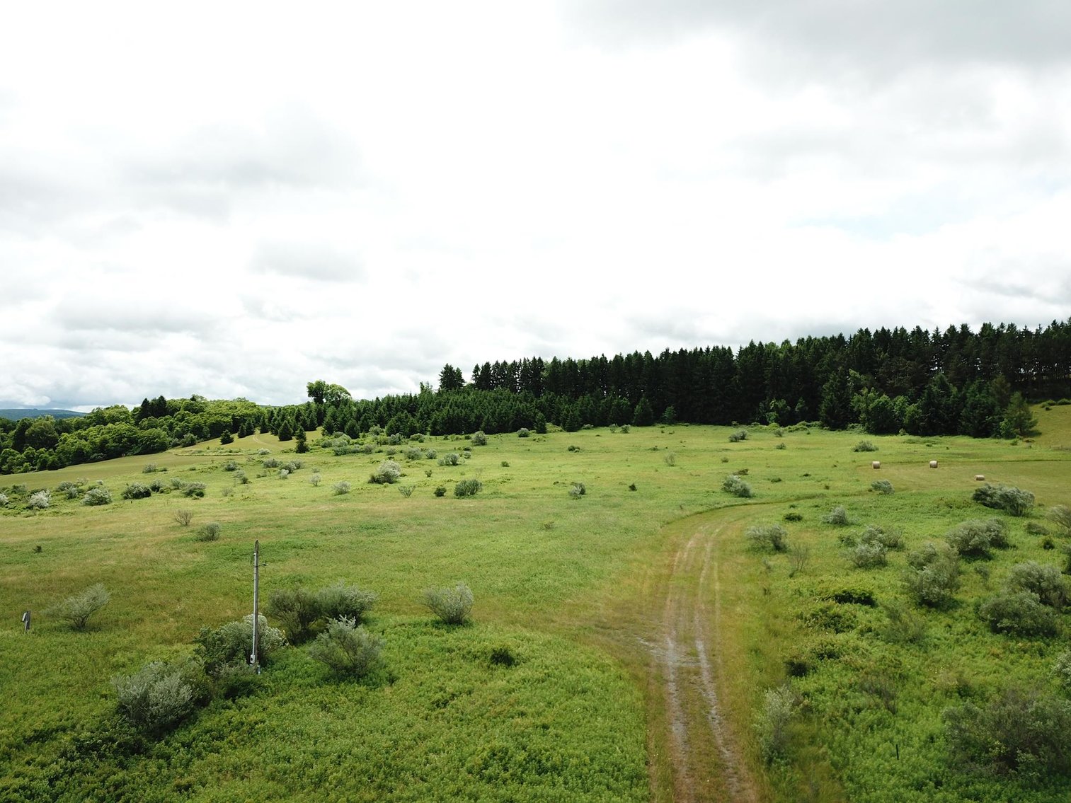 Image for SOLD - Large Tracts of Land Sold to the Highest Bidders