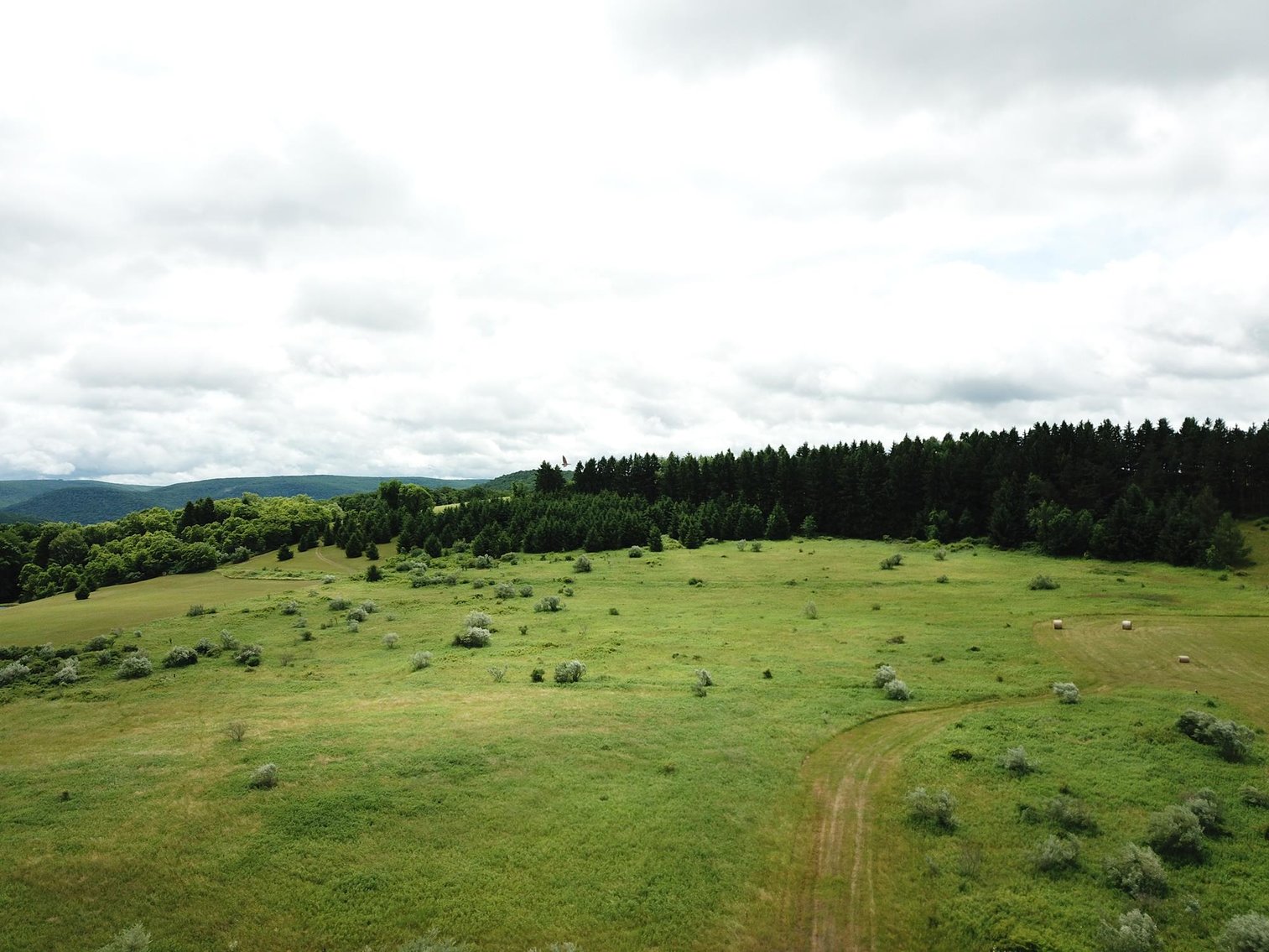 Image for SOLD - Large Tracts of Land Sold to the Highest Bidders