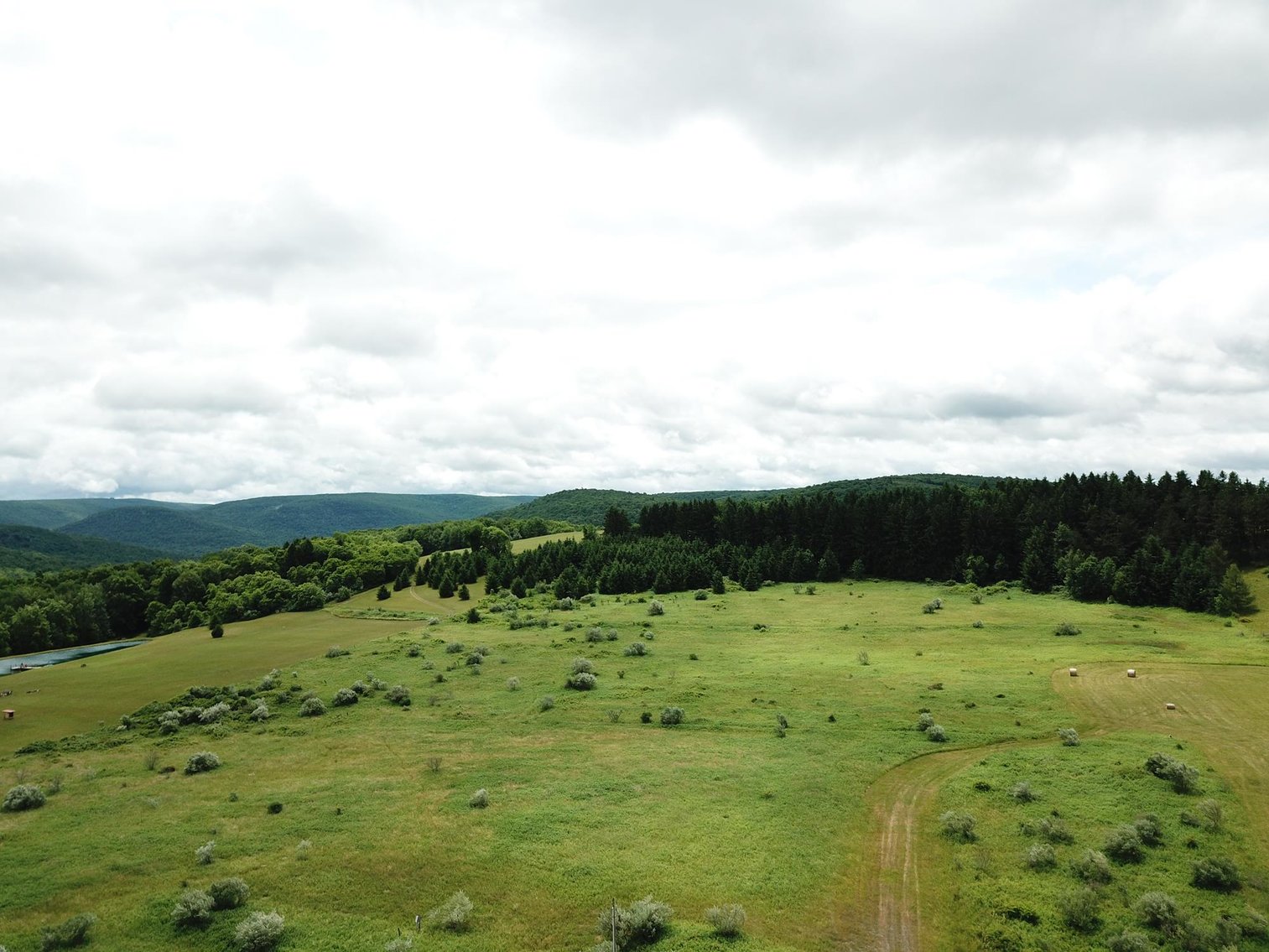 Image for SOLD - Large Tracts of Land Sold to the Highest Bidders