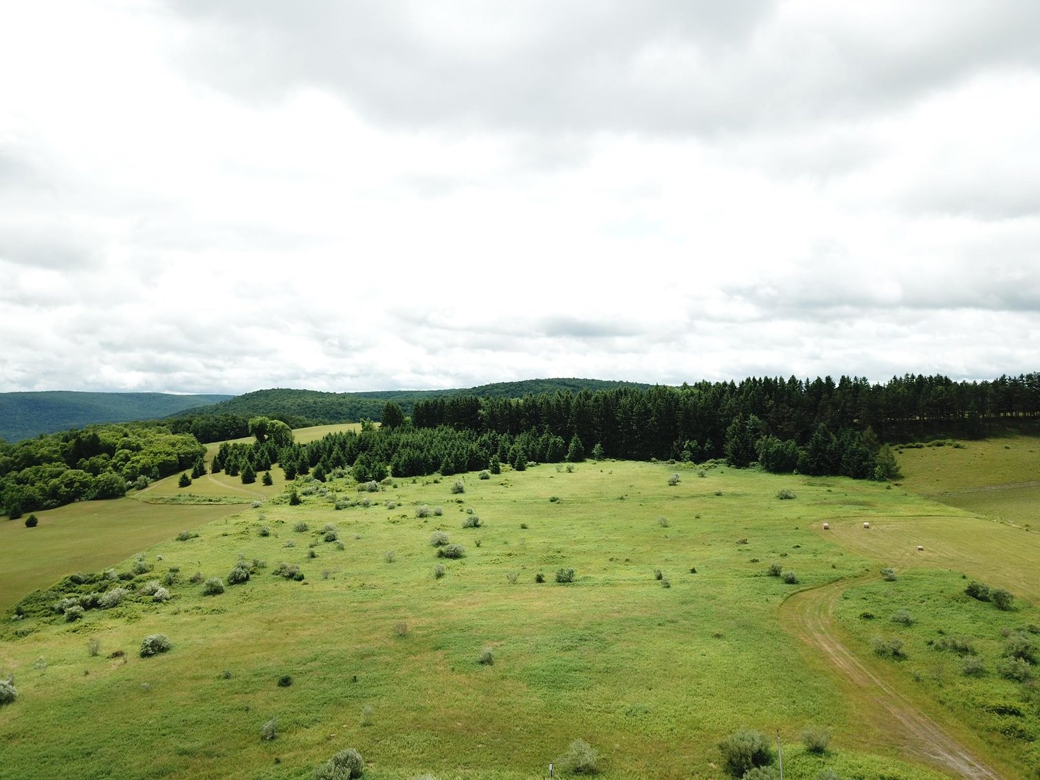 Image for SOLD - Large Tracts of Land Sold to the Highest Bidders