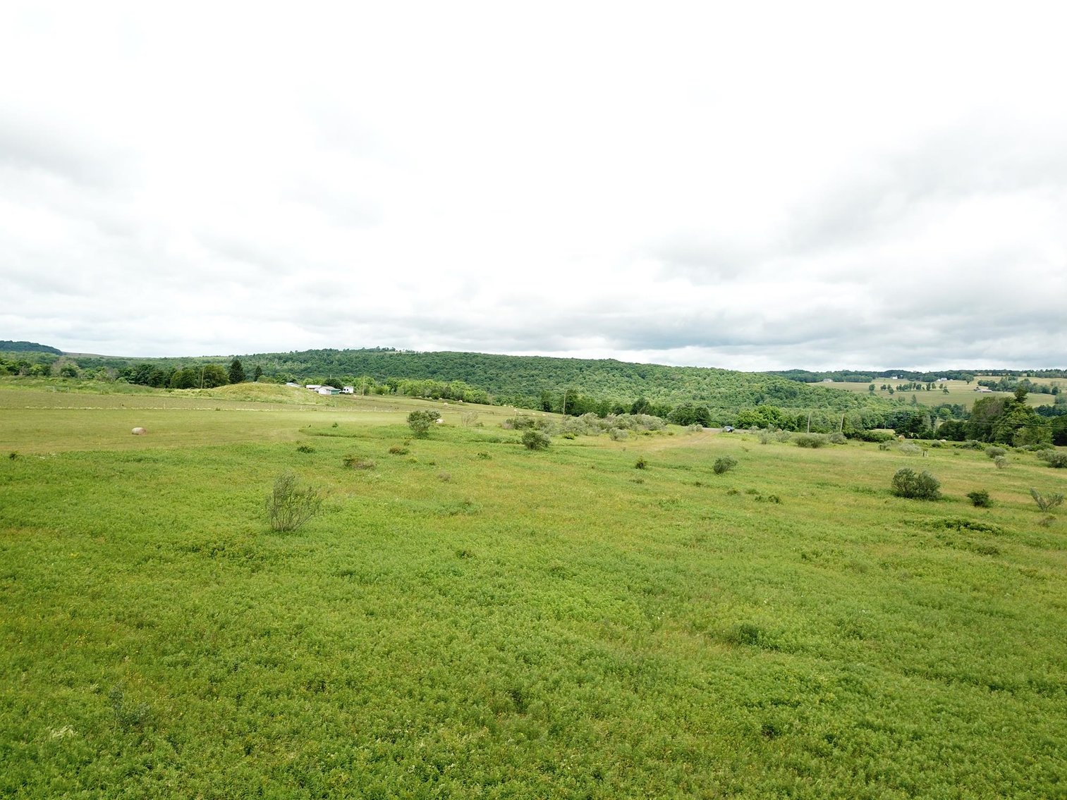 Image for SOLD - Large Tracts of Land Sold to the Highest Bidders