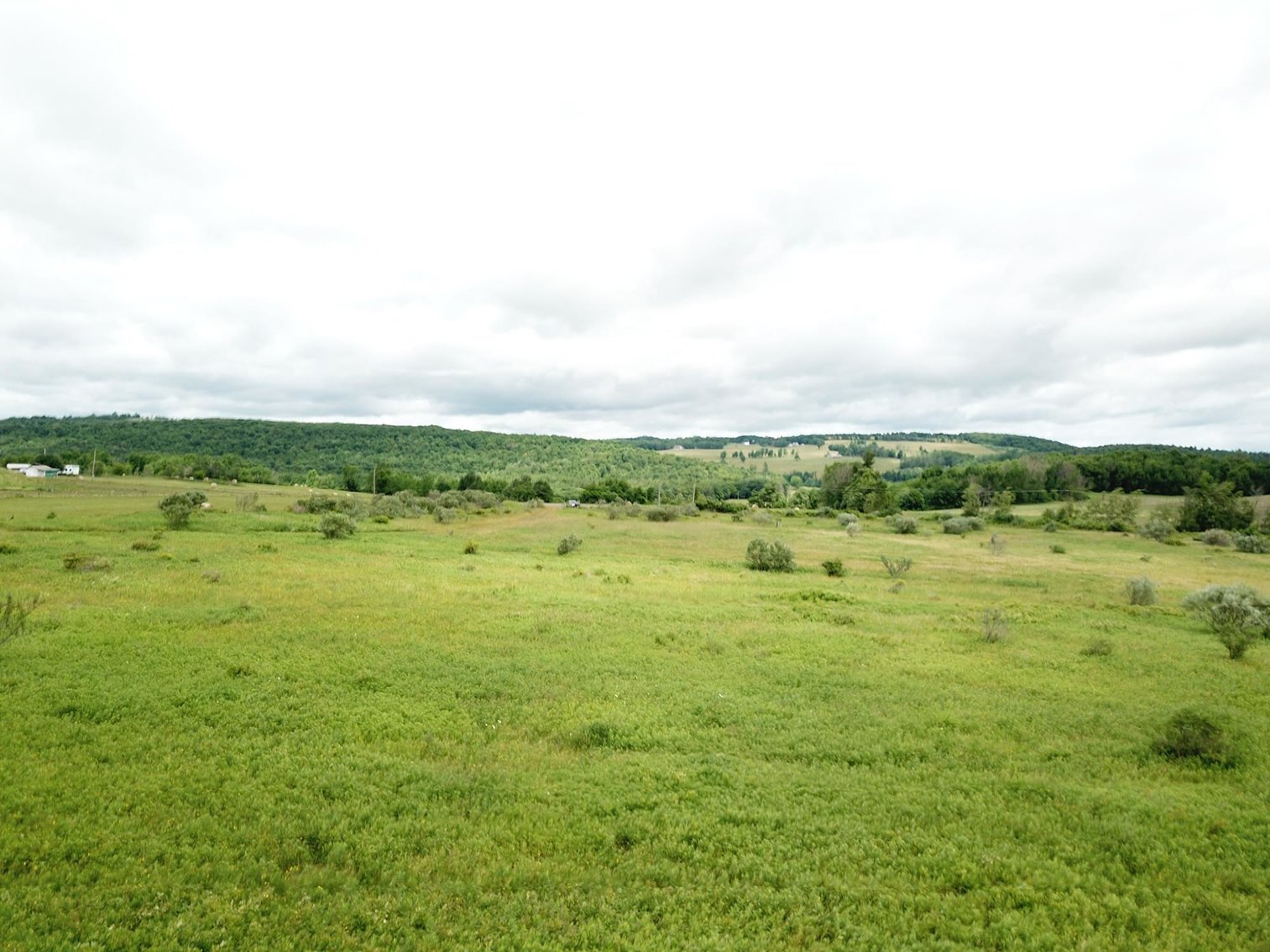 Image for SOLD - Large Tracts of Land Sold to the Highest Bidders