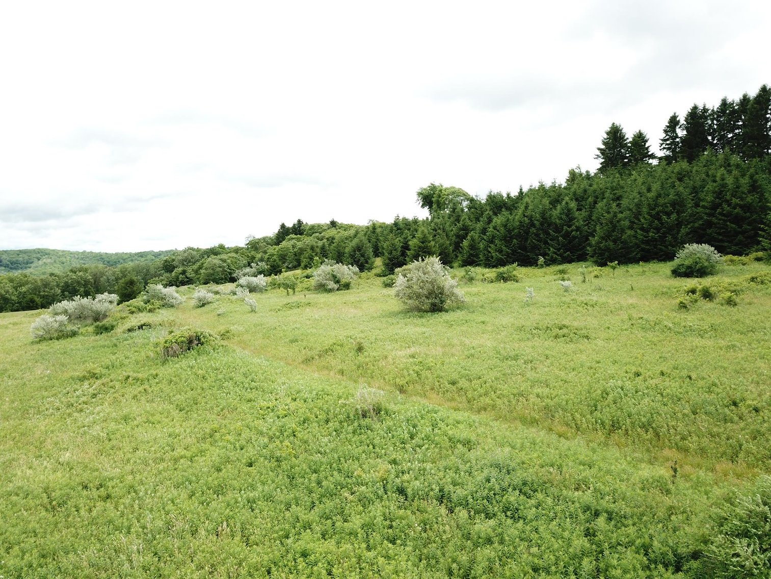 Image for SOLD - Large Tracts of Land Sold to the Highest Bidders