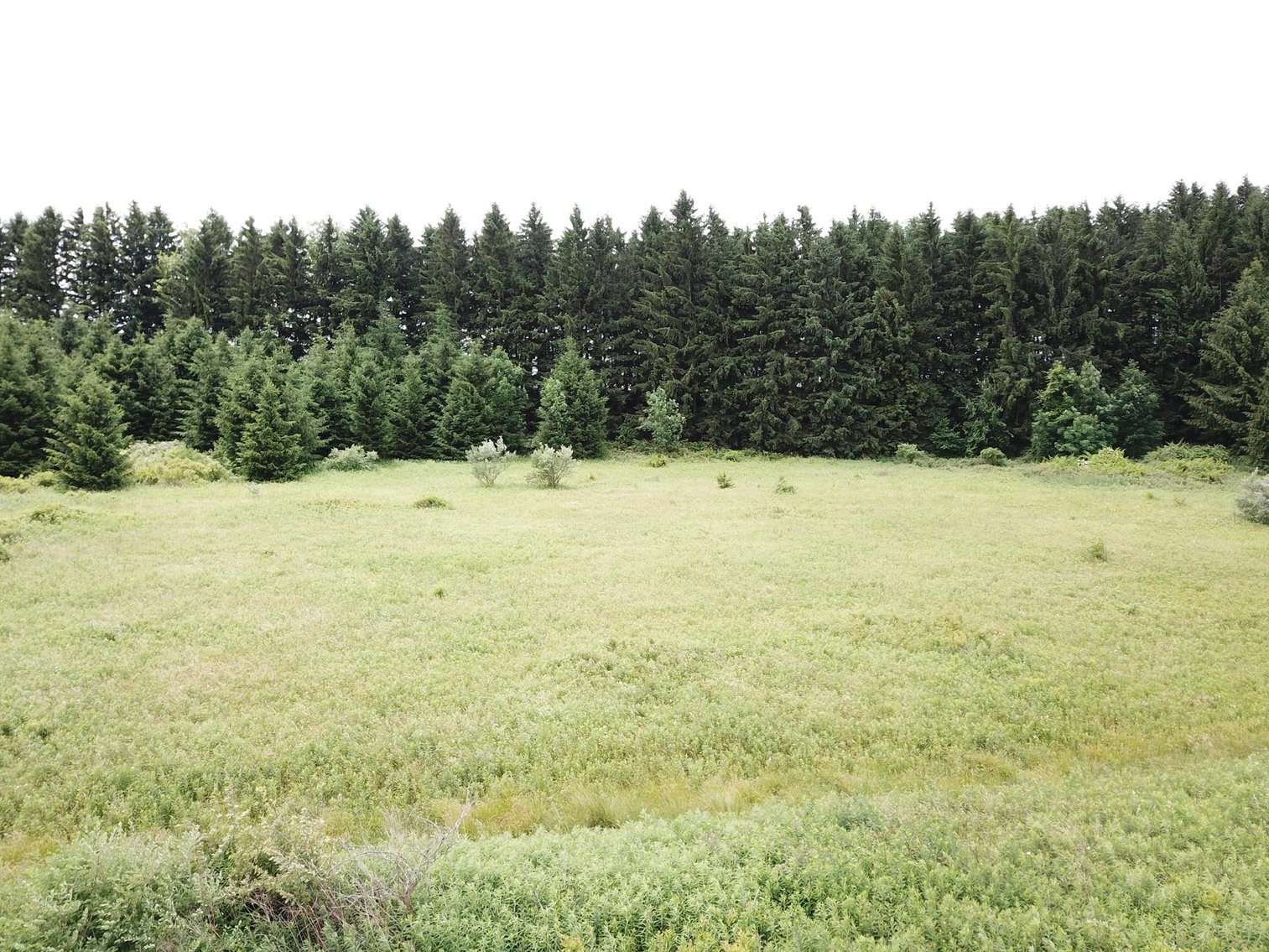 Image for SOLD - Large Tracts of Land Sold to the Highest Bidders