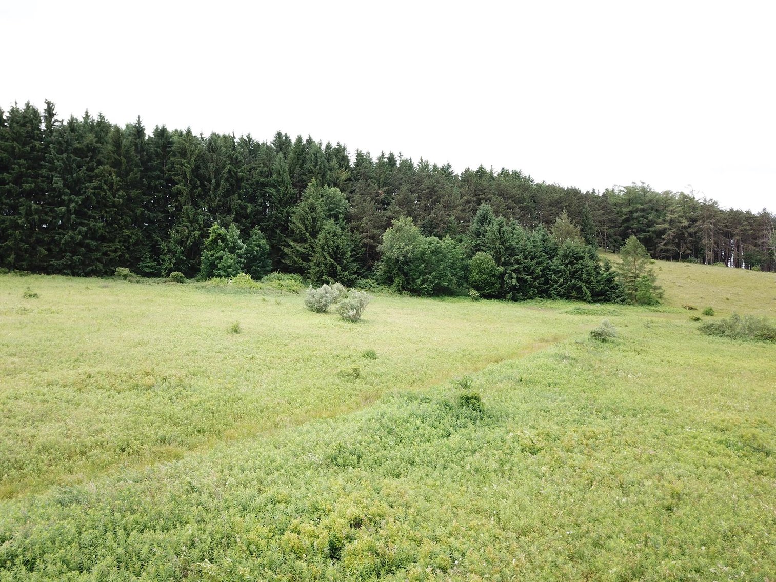 Image for SOLD - Large Tracts of Land Sold to the Highest Bidders