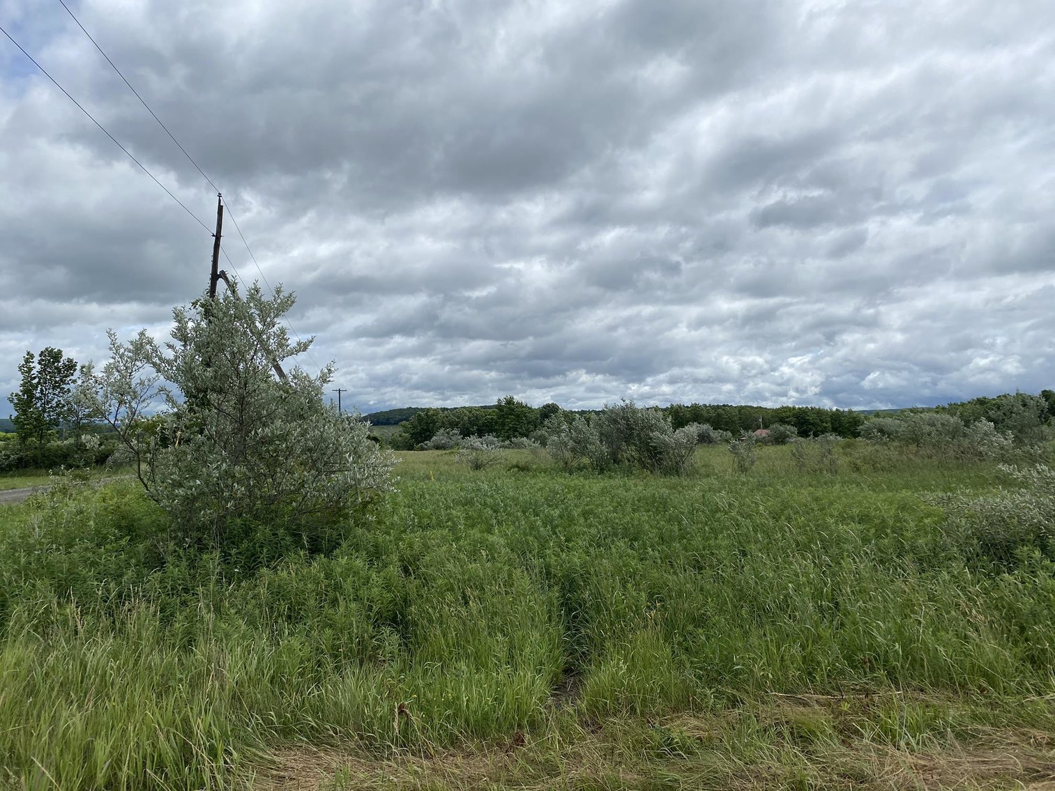 Image for SOLD - Large Tracts of Land Sold to the Highest Bidders