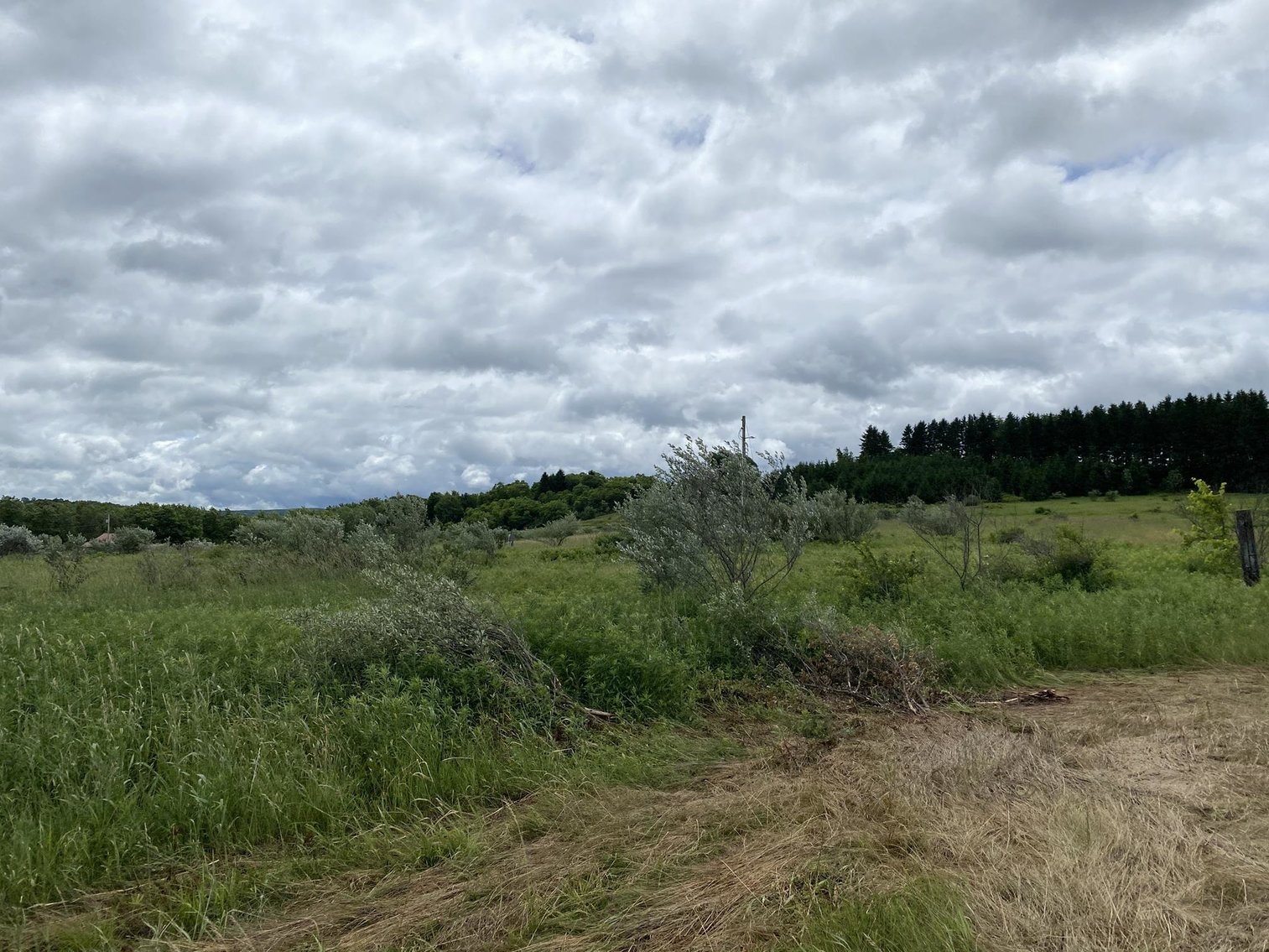 Image for SOLD - Large Tracts of Land Sold to the Highest Bidders