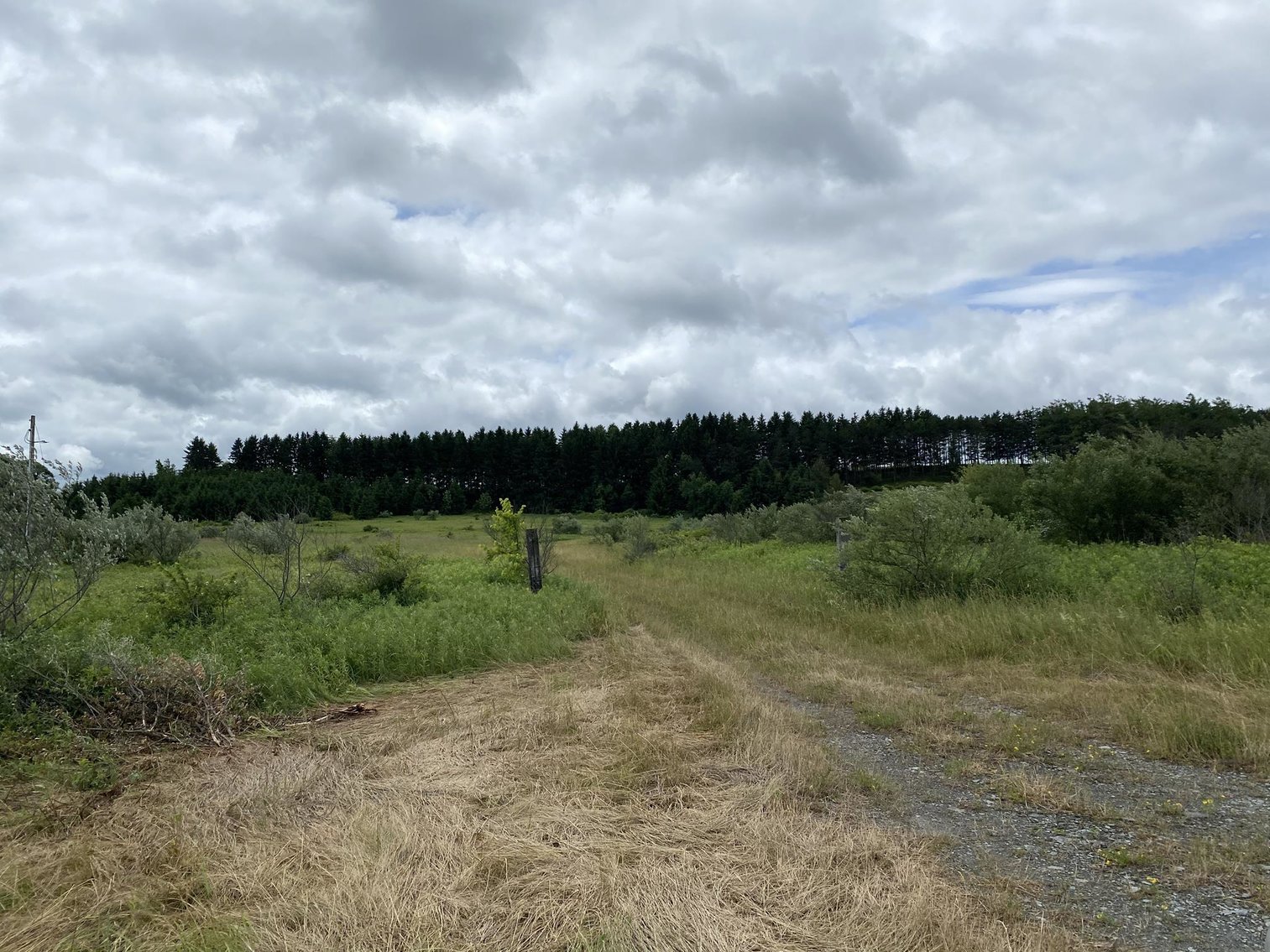 Image for SOLD - Large Tracts of Land Sold to the Highest Bidders