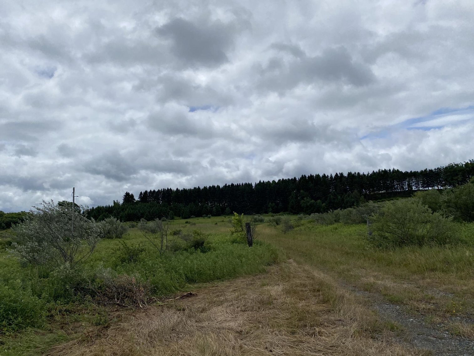 Image for SOLD - Large Tracts of Land Sold to the Highest Bidders