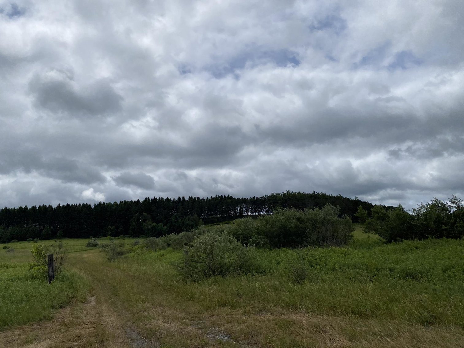 Image for SOLD - Large Tracts of Land Sold to the Highest Bidders