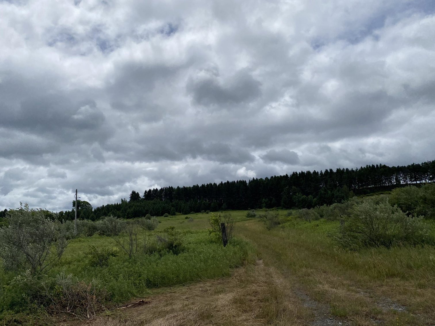 Image for SOLD - Large Tracts of Land Sold to the Highest Bidders