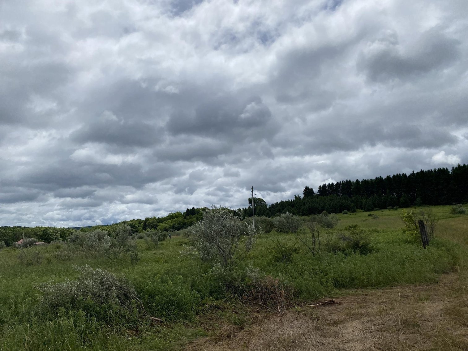 Image for SOLD - Large Tracts of Land Sold to the Highest Bidders