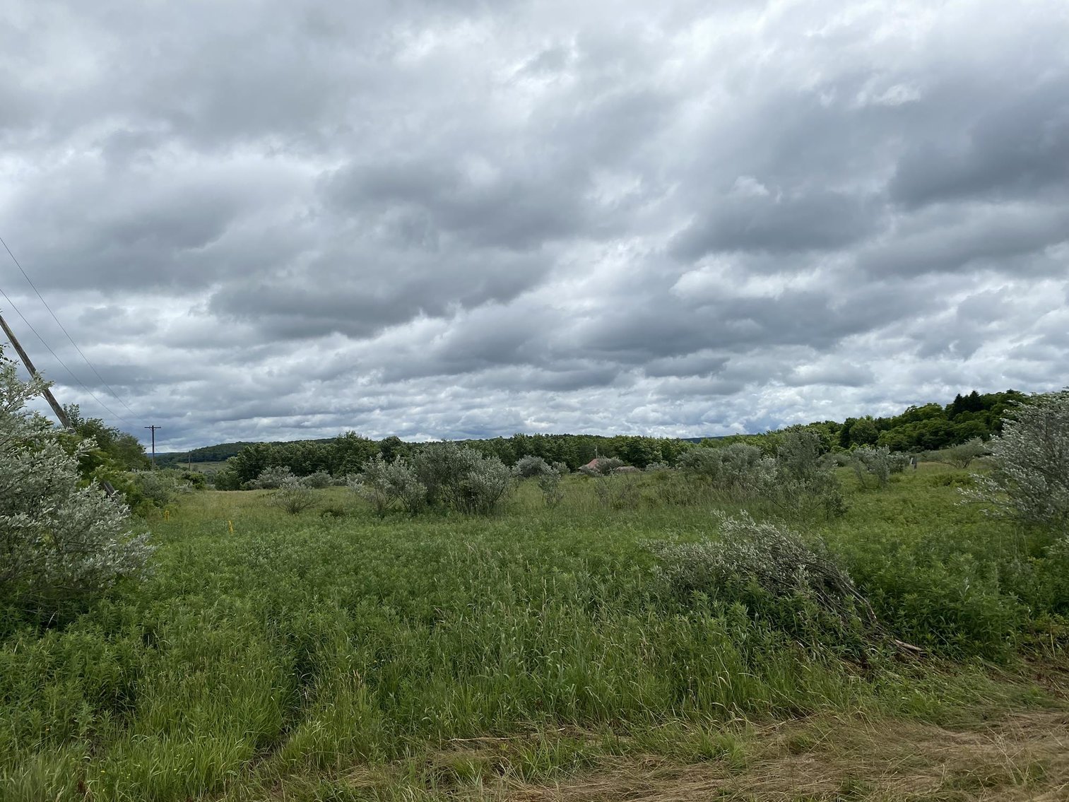 Image for SOLD - Large Tracts of Land Sold to the Highest Bidders