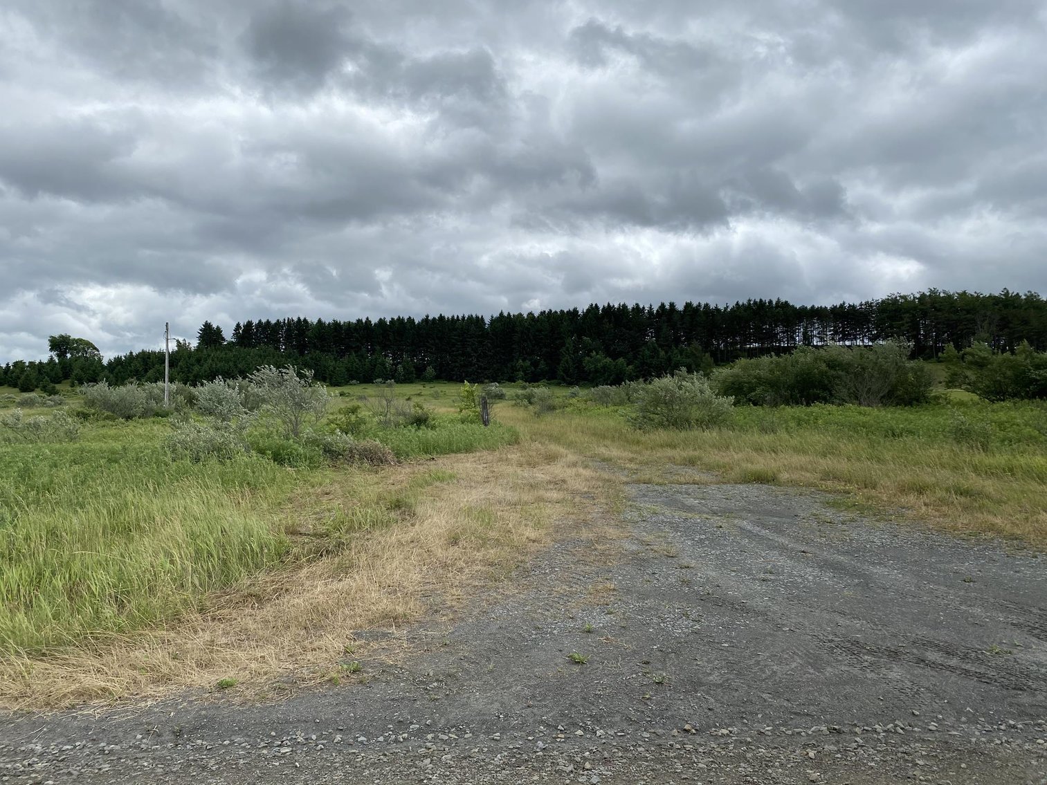 Image for SOLD - Large Tracts of Land Sold to the Highest Bidders