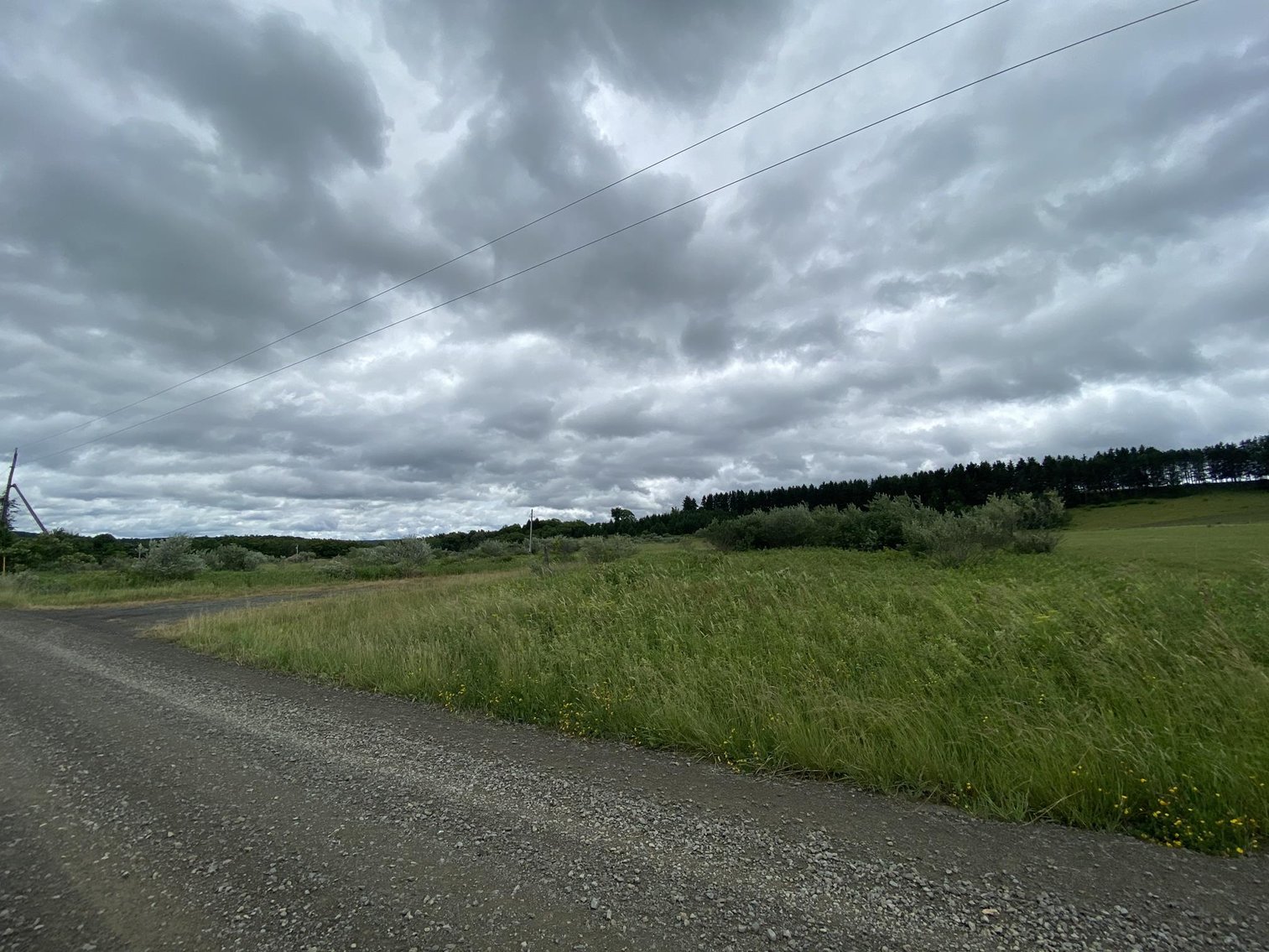 Image for SOLD - Large Tracts of Land Sold to the Highest Bidders