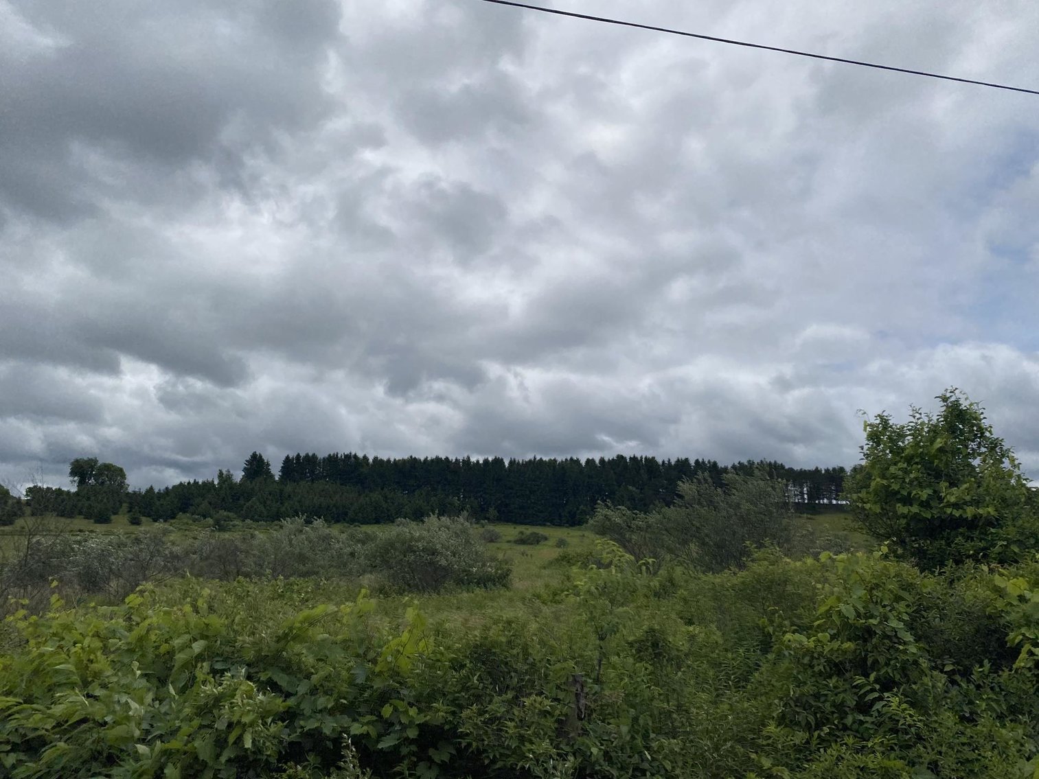 Image for SOLD - Large Tracts of Land Sold to the Highest Bidders