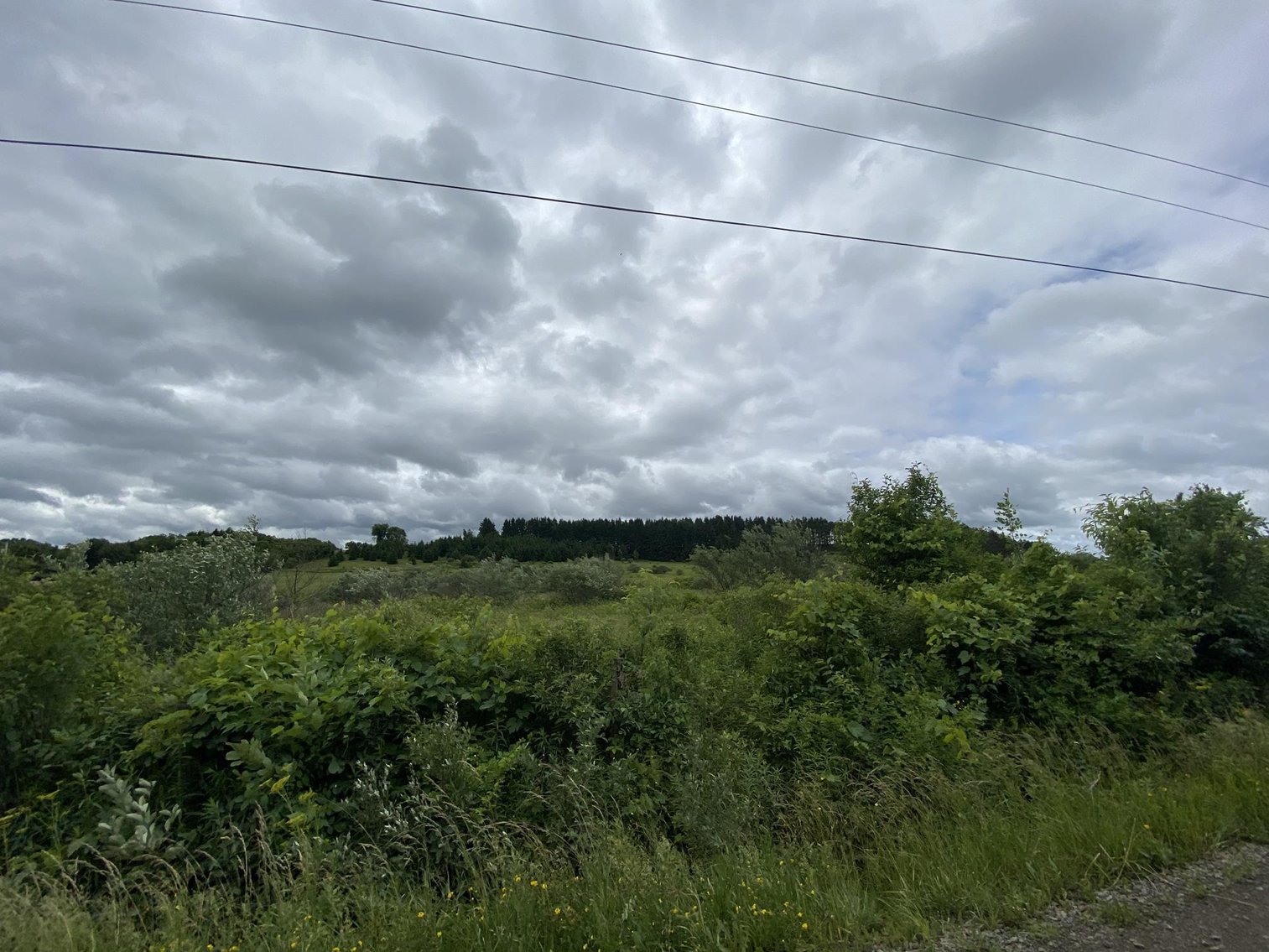 Image for SOLD - Large Tracts of Land Sold to the Highest Bidders