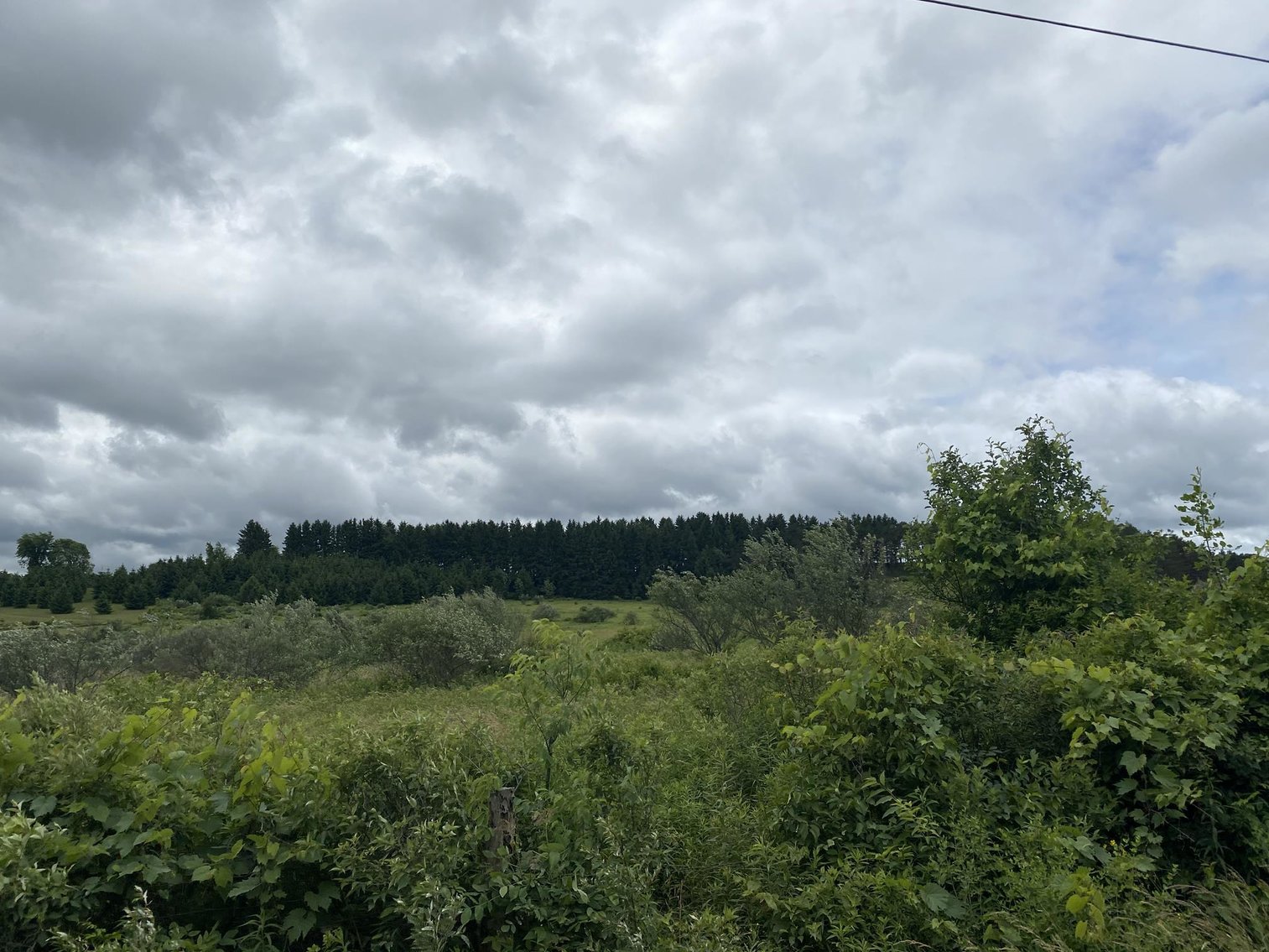 Image for SOLD - Large Tracts of Land Sold to the Highest Bidders