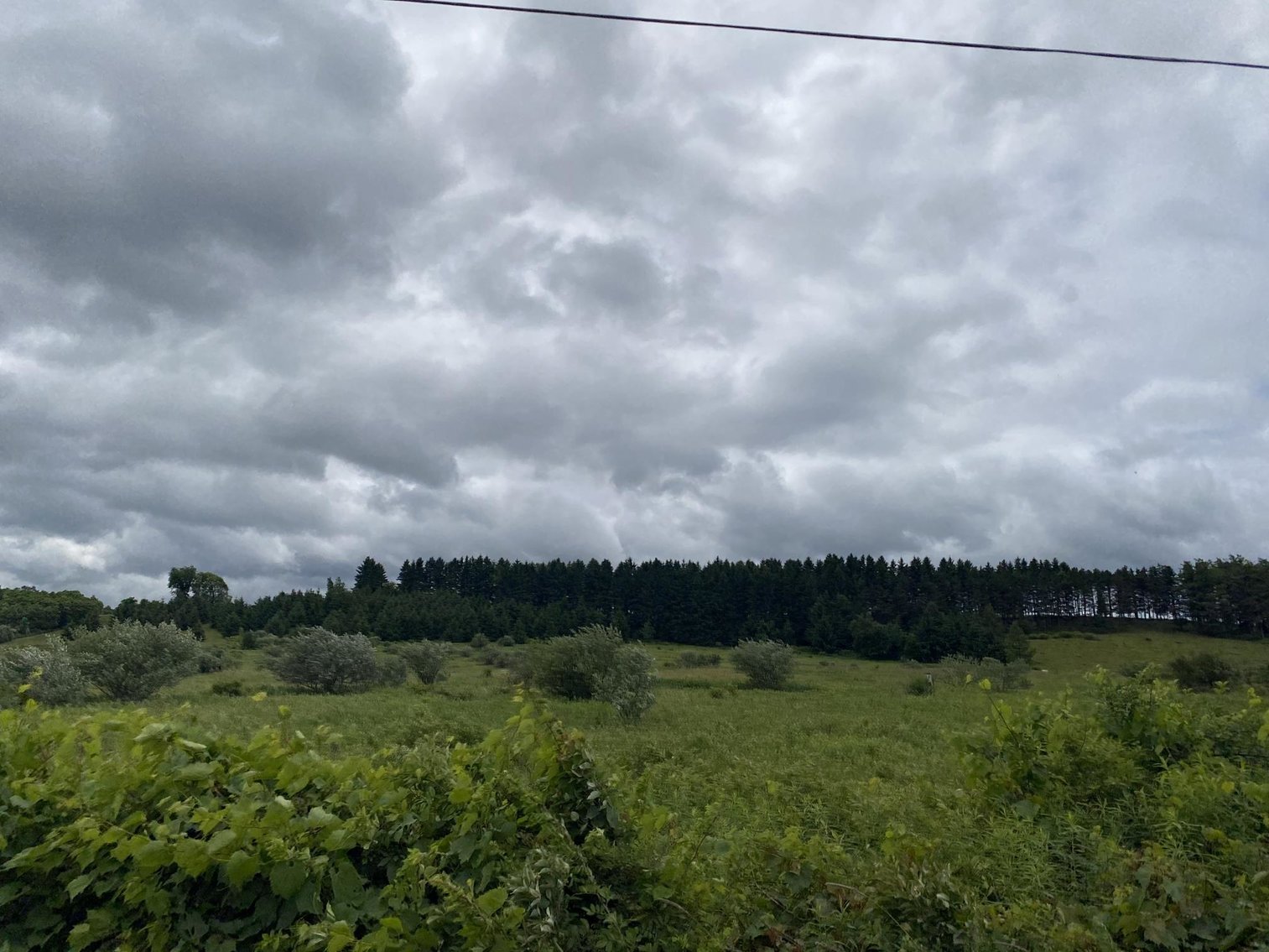 Image for SOLD - Large Tracts of Land Sold to the Highest Bidders