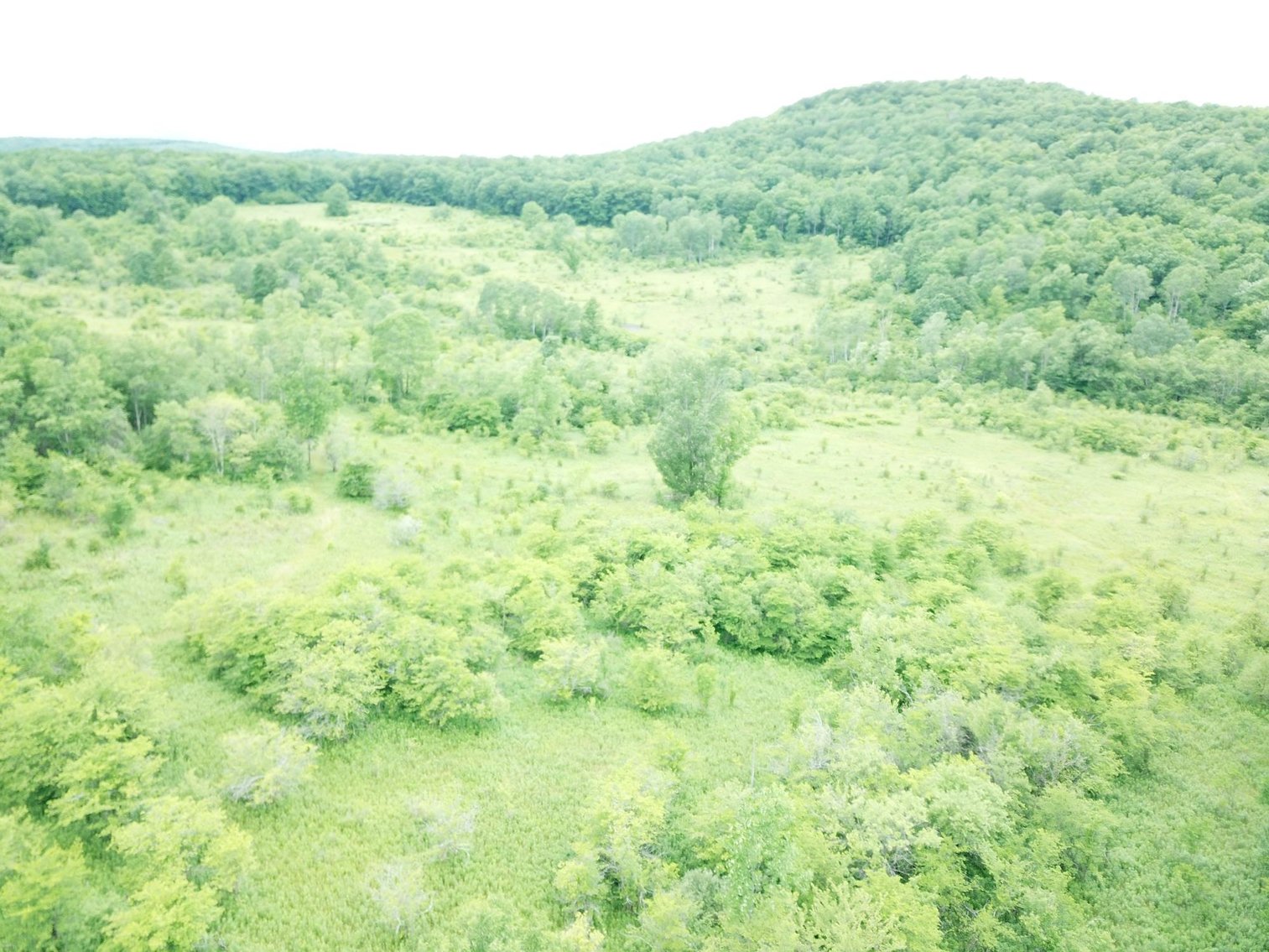 Image for SOLD - Large Tracts of Land Sold to the Highest Bidders