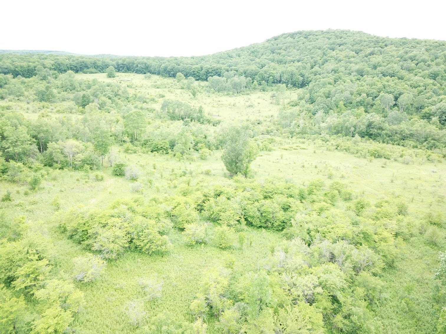 Image for SOLD - Large Tracts of Land Sold to the Highest Bidders