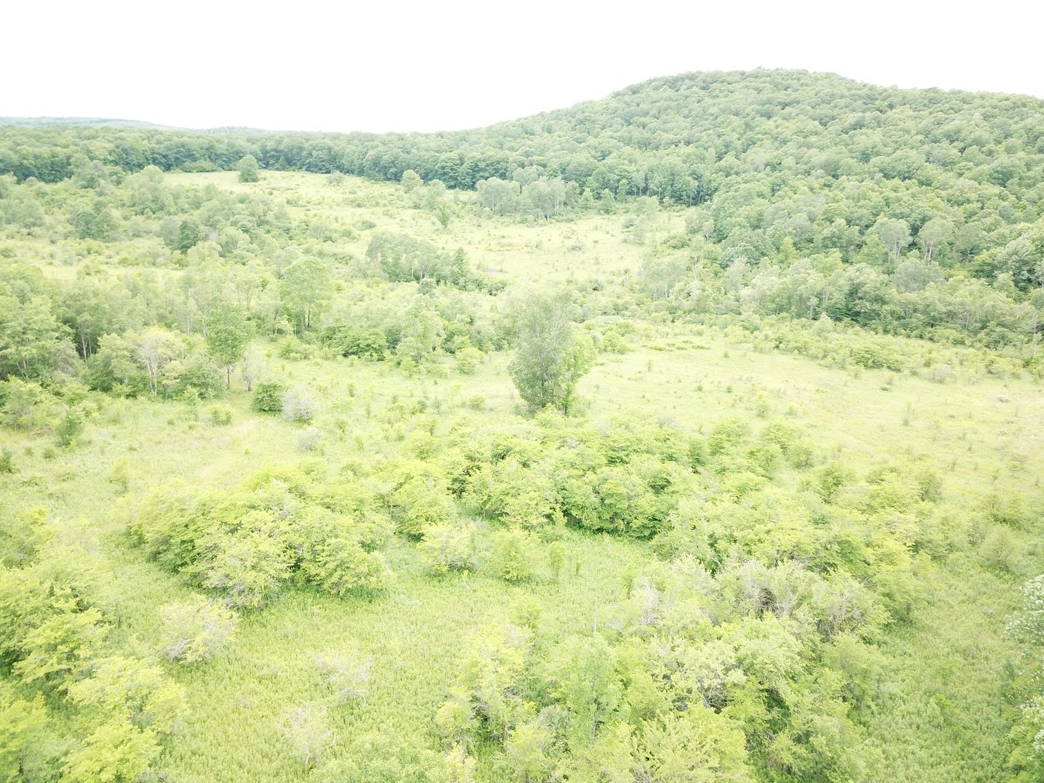 Image for SOLD - Large Tracts of Land Sold to the Highest Bidders