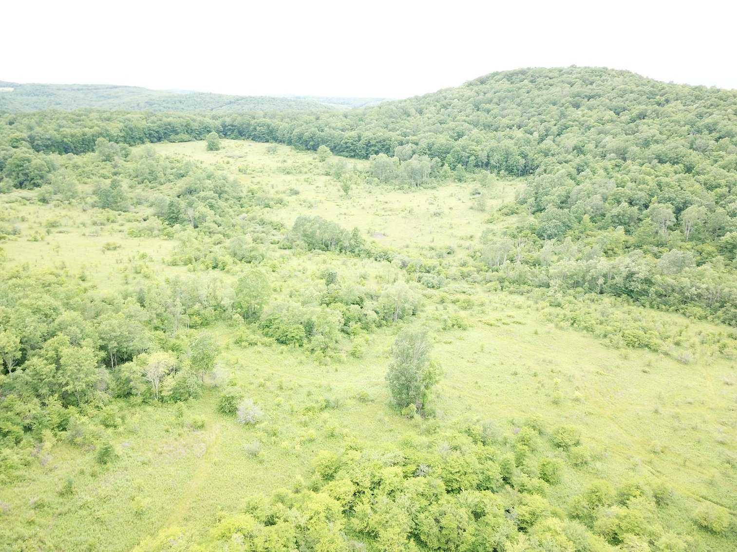 Image for SOLD - Large Tracts of Land Sold to the Highest Bidders