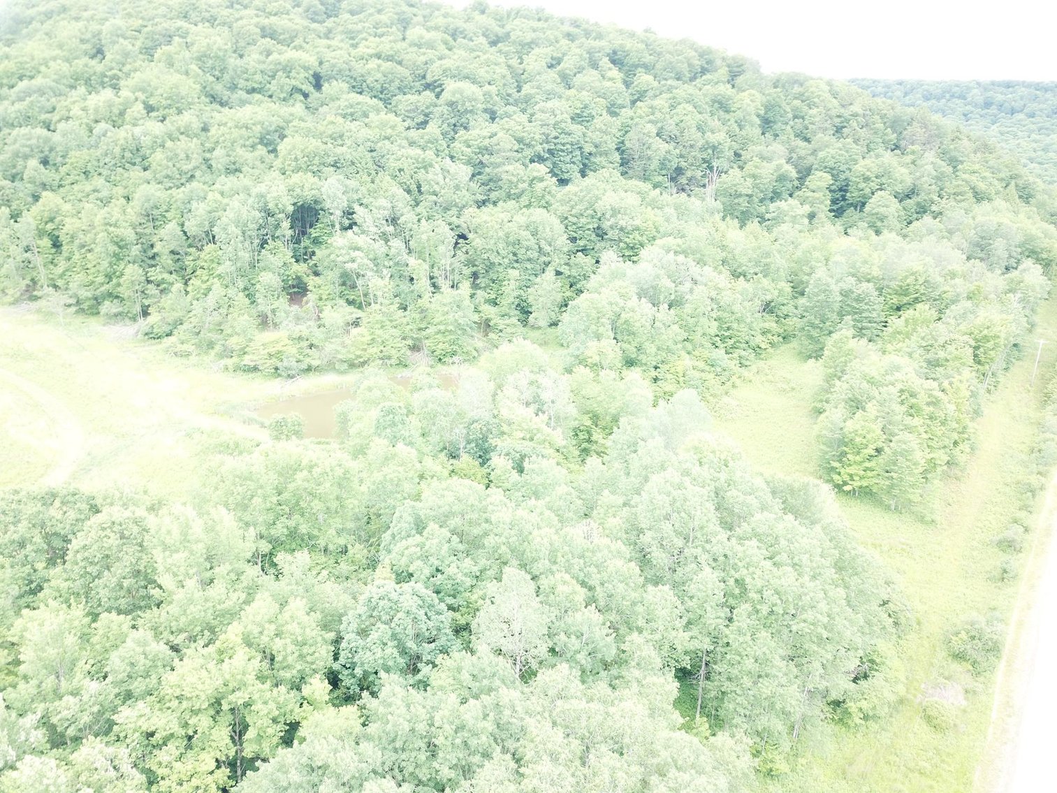 Image for SOLD - Large Tracts of Land Sold to the Highest Bidders