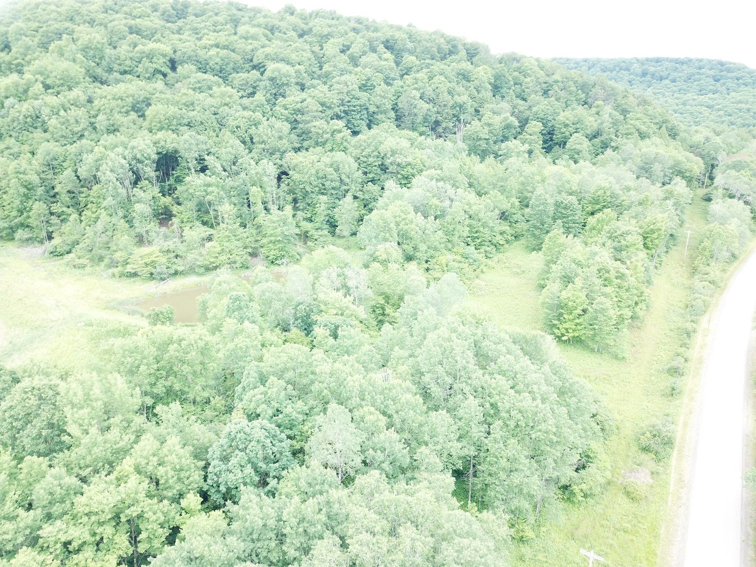 Image for SOLD - Large Tracts of Land Sold to the Highest Bidders