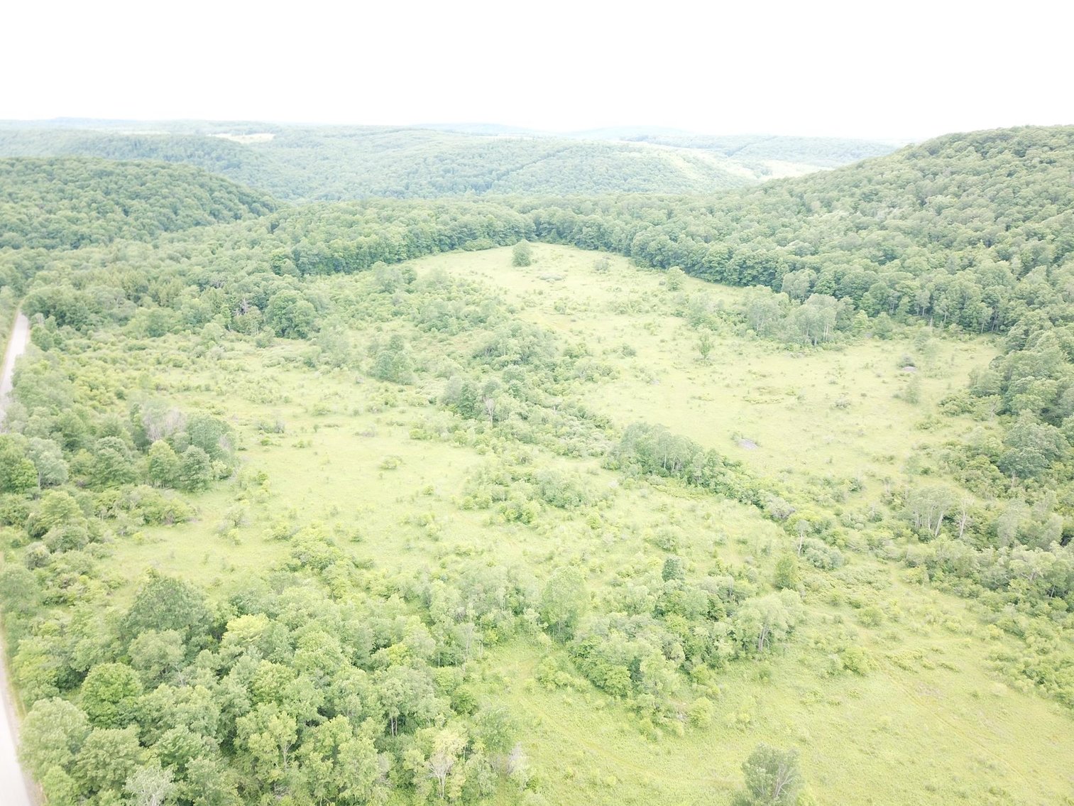 Image for SOLD - Large Tracts of Land Sold to the Highest Bidders