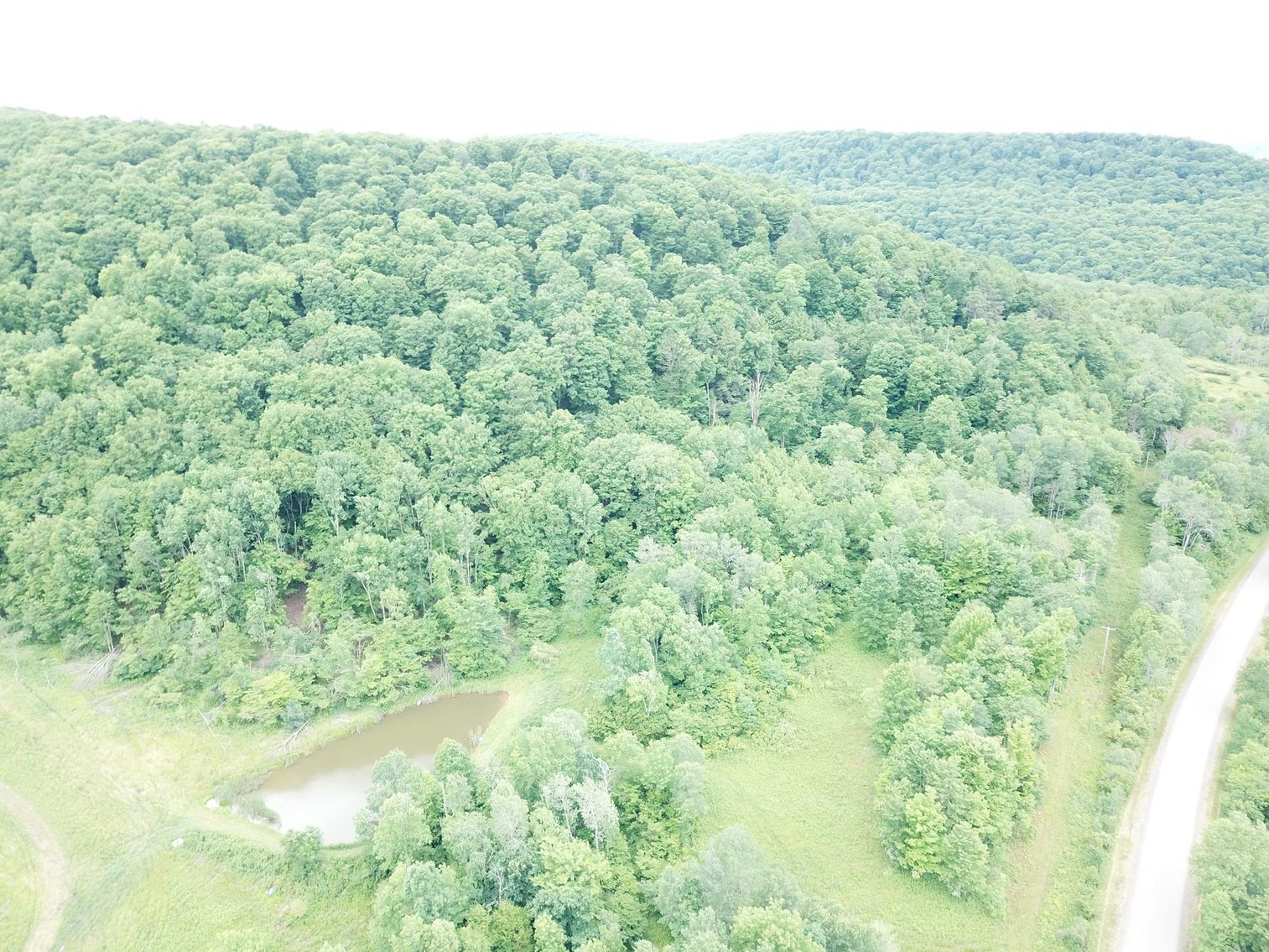 Image for SOLD - Large Tracts of Land Sold to the Highest Bidders