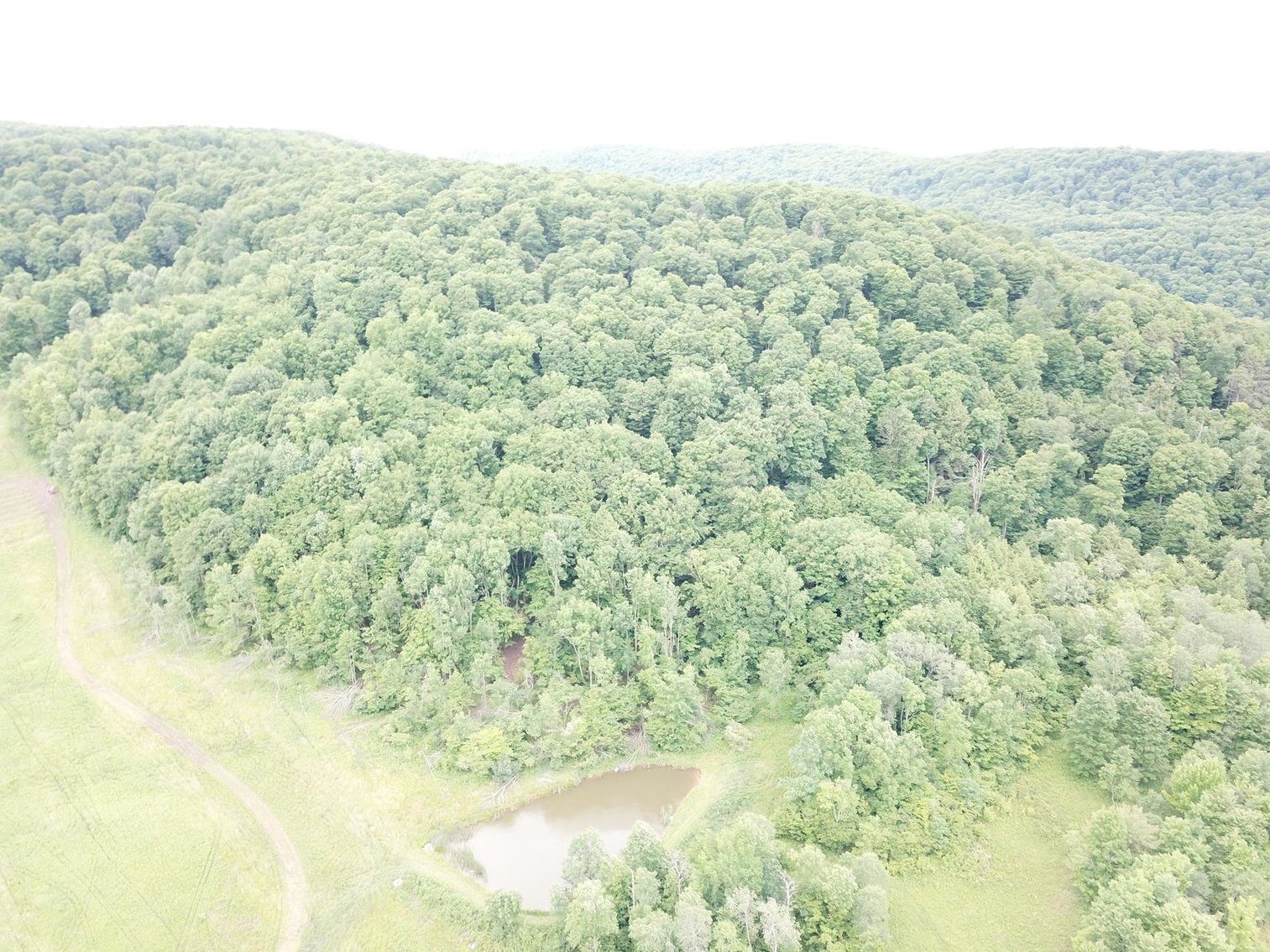 Image for SOLD - Large Tracts of Land Sold to the Highest Bidders